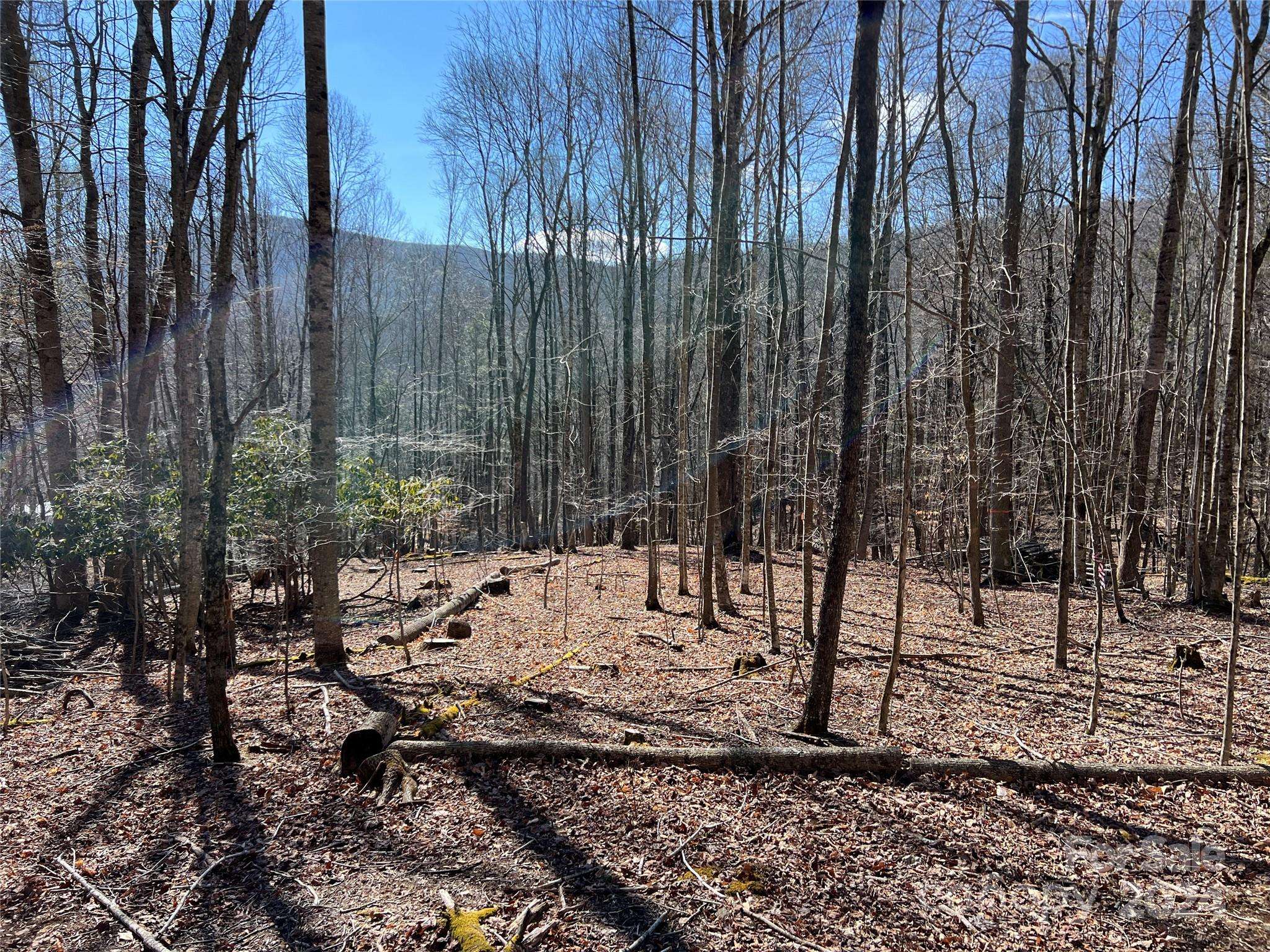 Boone, NC 28607,TBD (Lot 3) Poplar Forest DR