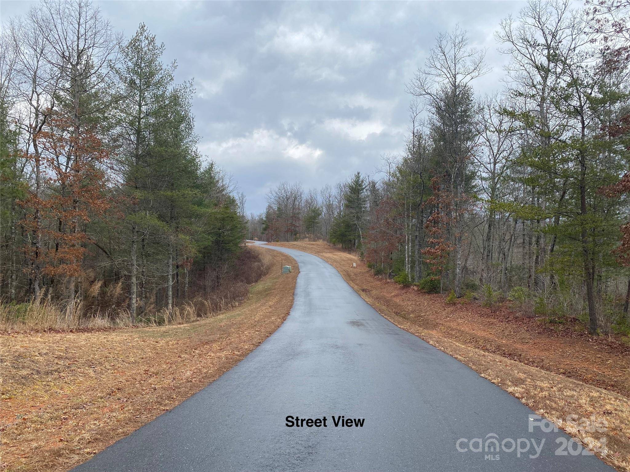 Murphy, NC 28906,Lot 95 River Mountain RD