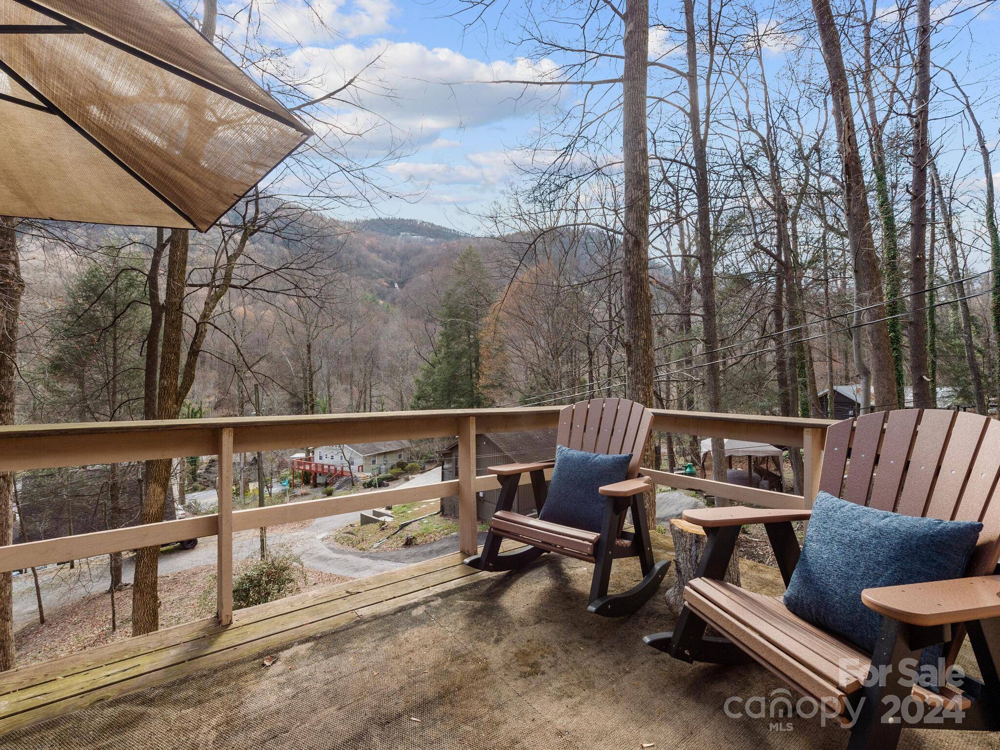 Chimney Rock, NC 28720,124 Buena Vista RD