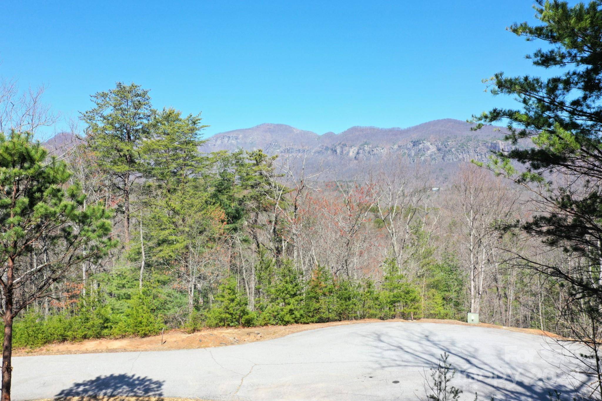 Lake Lure, NC 28746,0 Clear Creek TRL