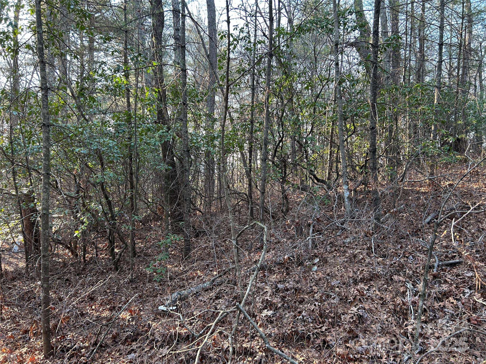 Brevard, NC 28712,00 Howell RD