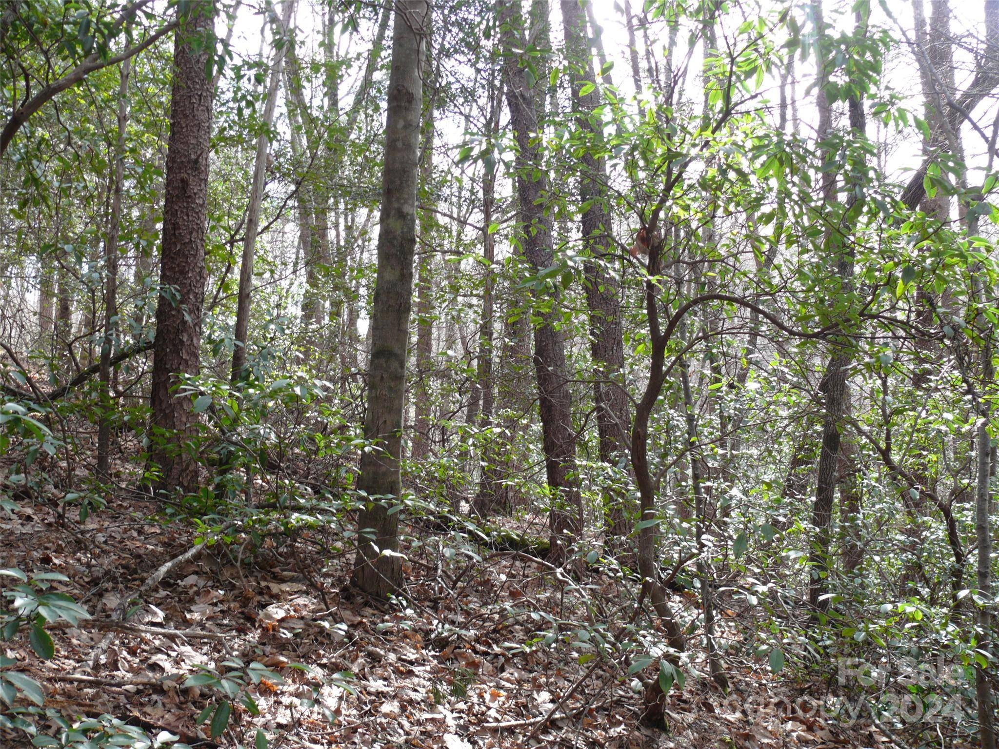 Lake Lure, NC 28746,Lot 102 Shumont Estates DR