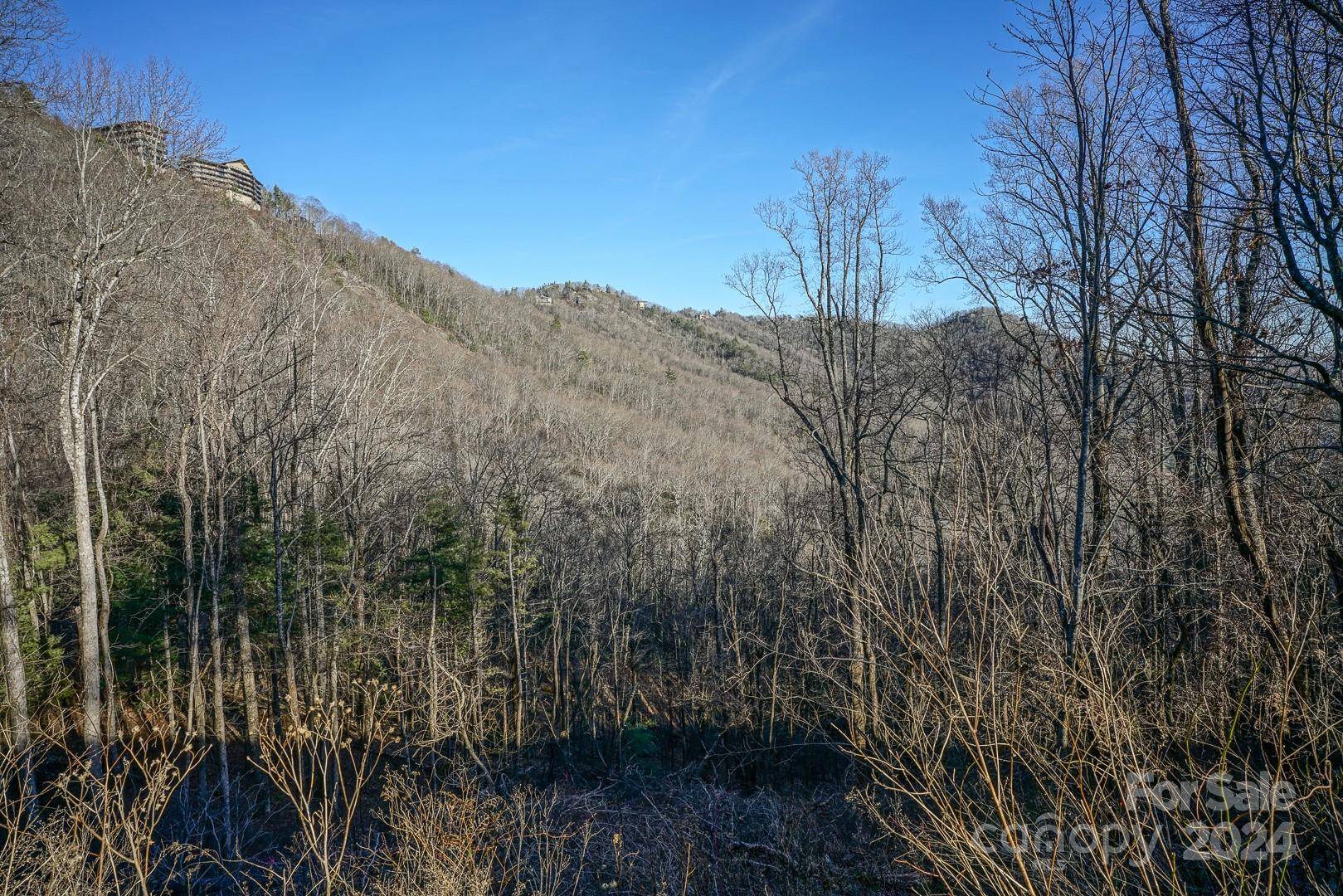 Blowing Rock, NC 28605,TBD Scenic None