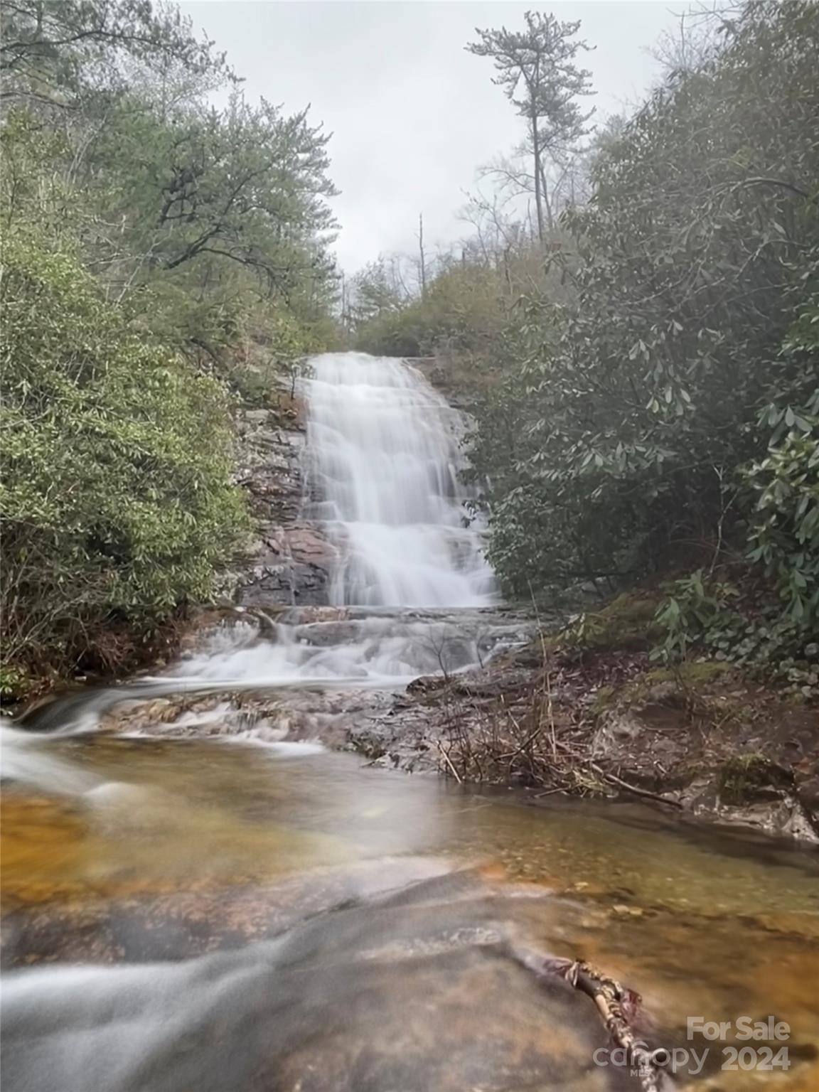 Marion, NC 28752,99999 Sir Winston WAY #LOT 52