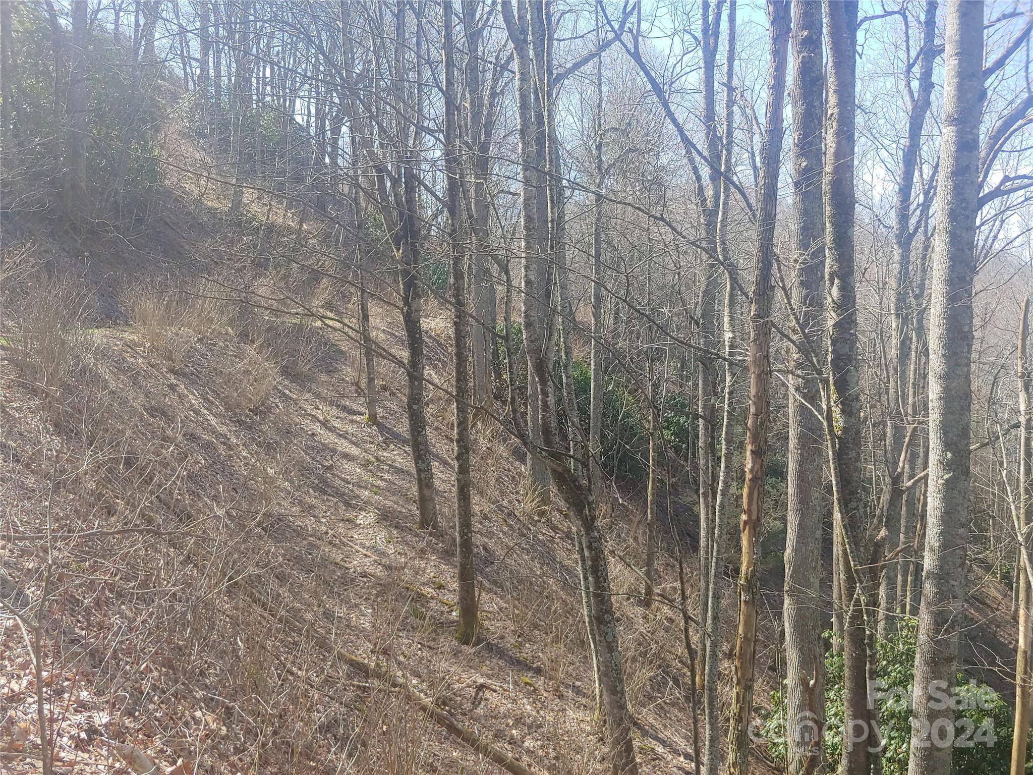 Clyde, NC 28721,38 Barn Cove RD