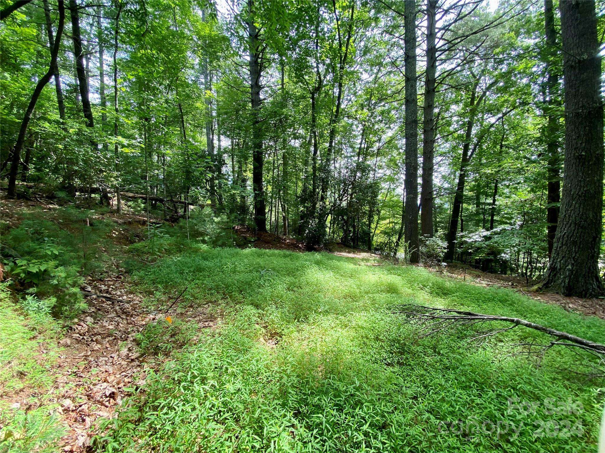 Pisgah Forest, NC 28768,400 Emerald Hills DR