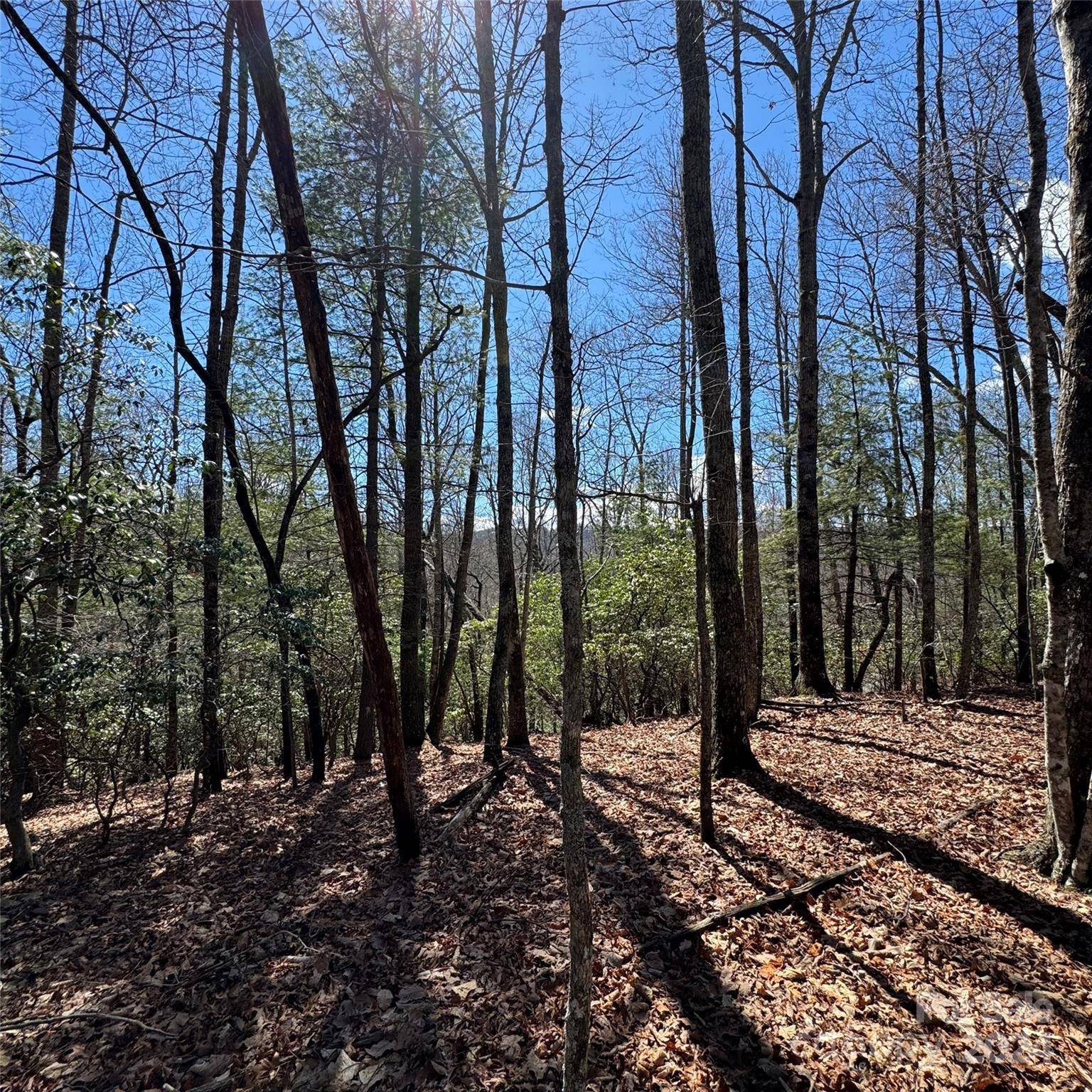 Pisgah Forest, NC 28768,Tract 32-B Kentwood LN