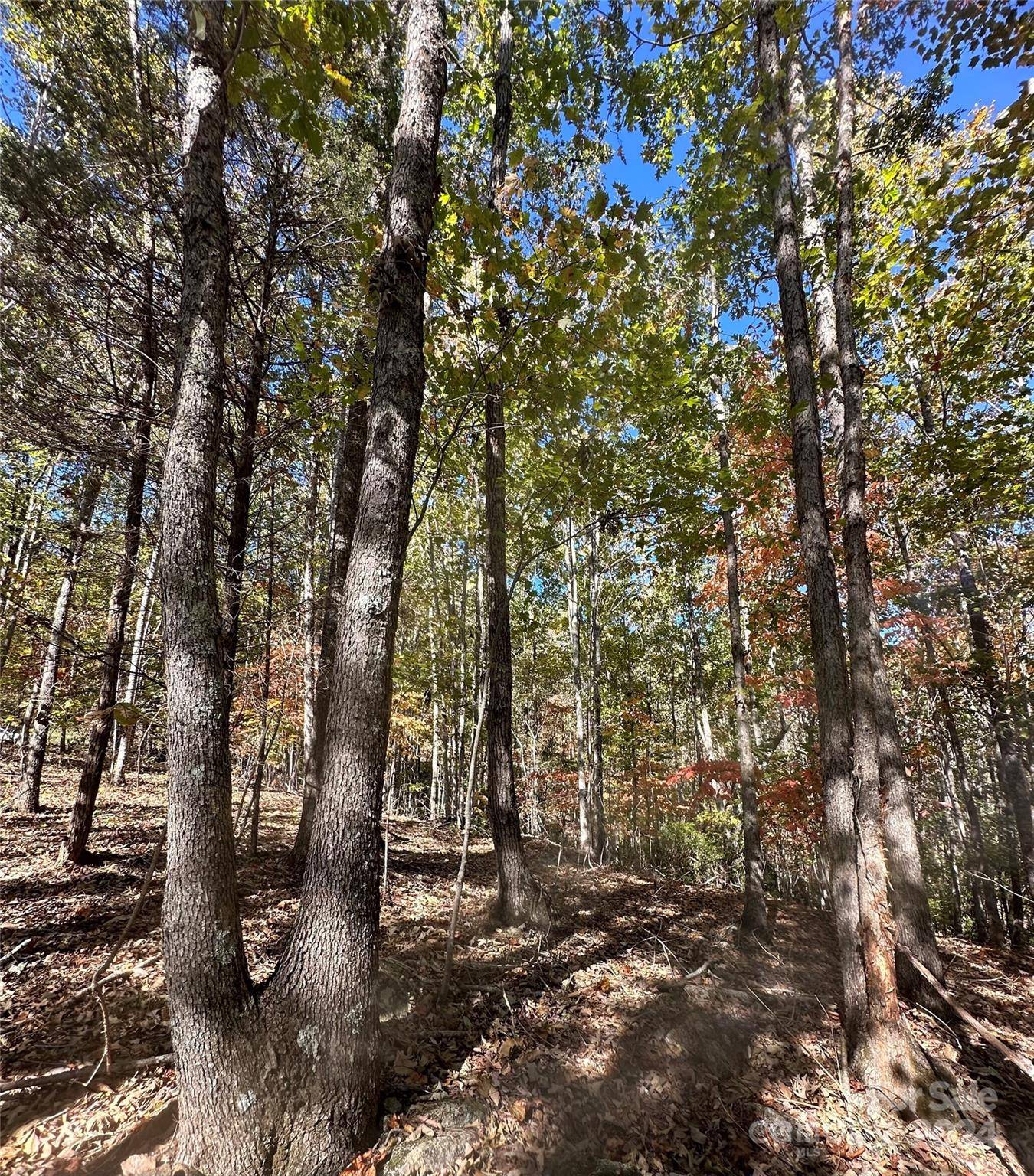 Bostic, NC 28018,0 Luckadoo Mountain RD #171