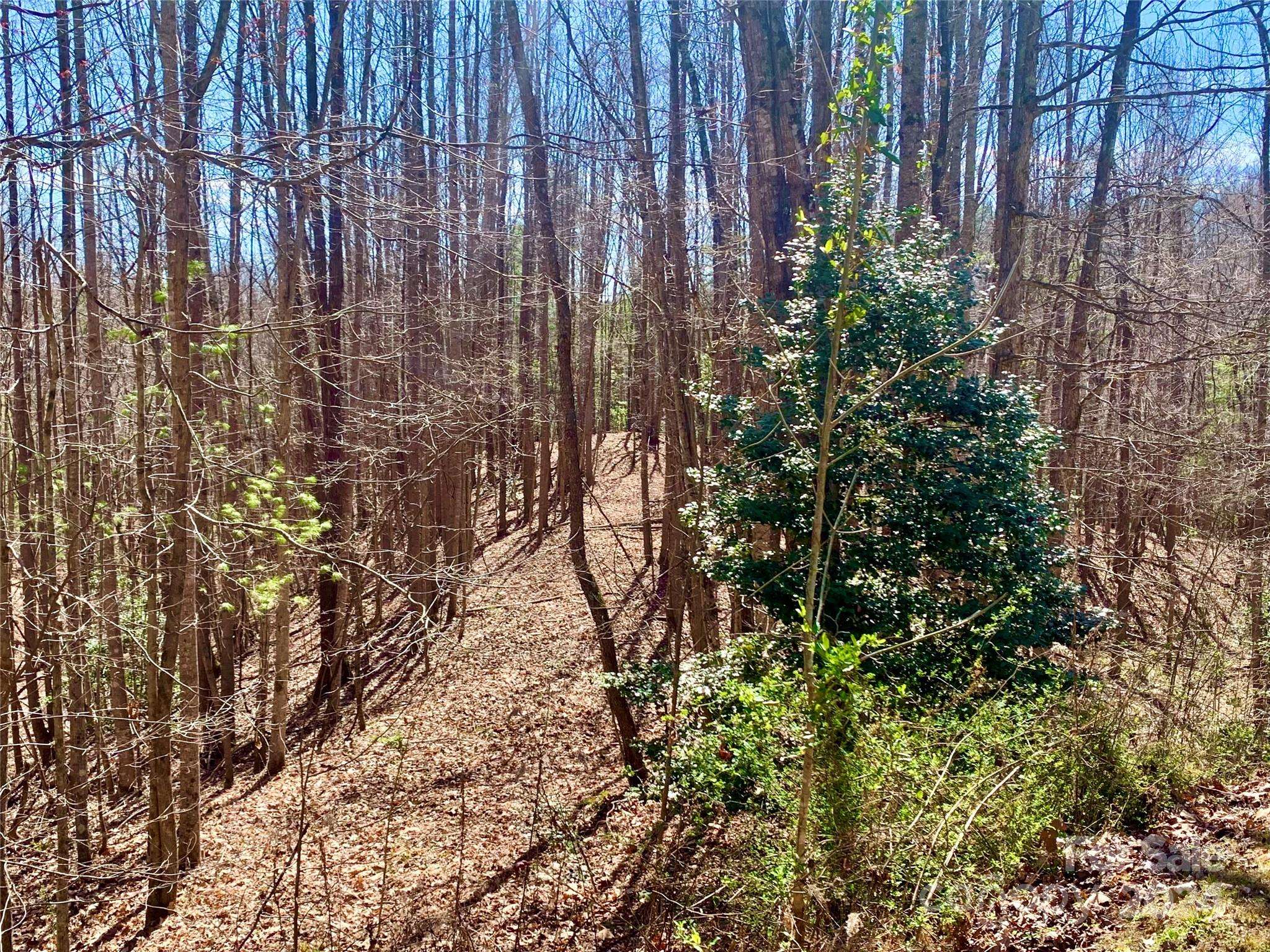 Lenoir, NC 28645,2.78 acres, Lot 84 Round Rock RD #Lot 84