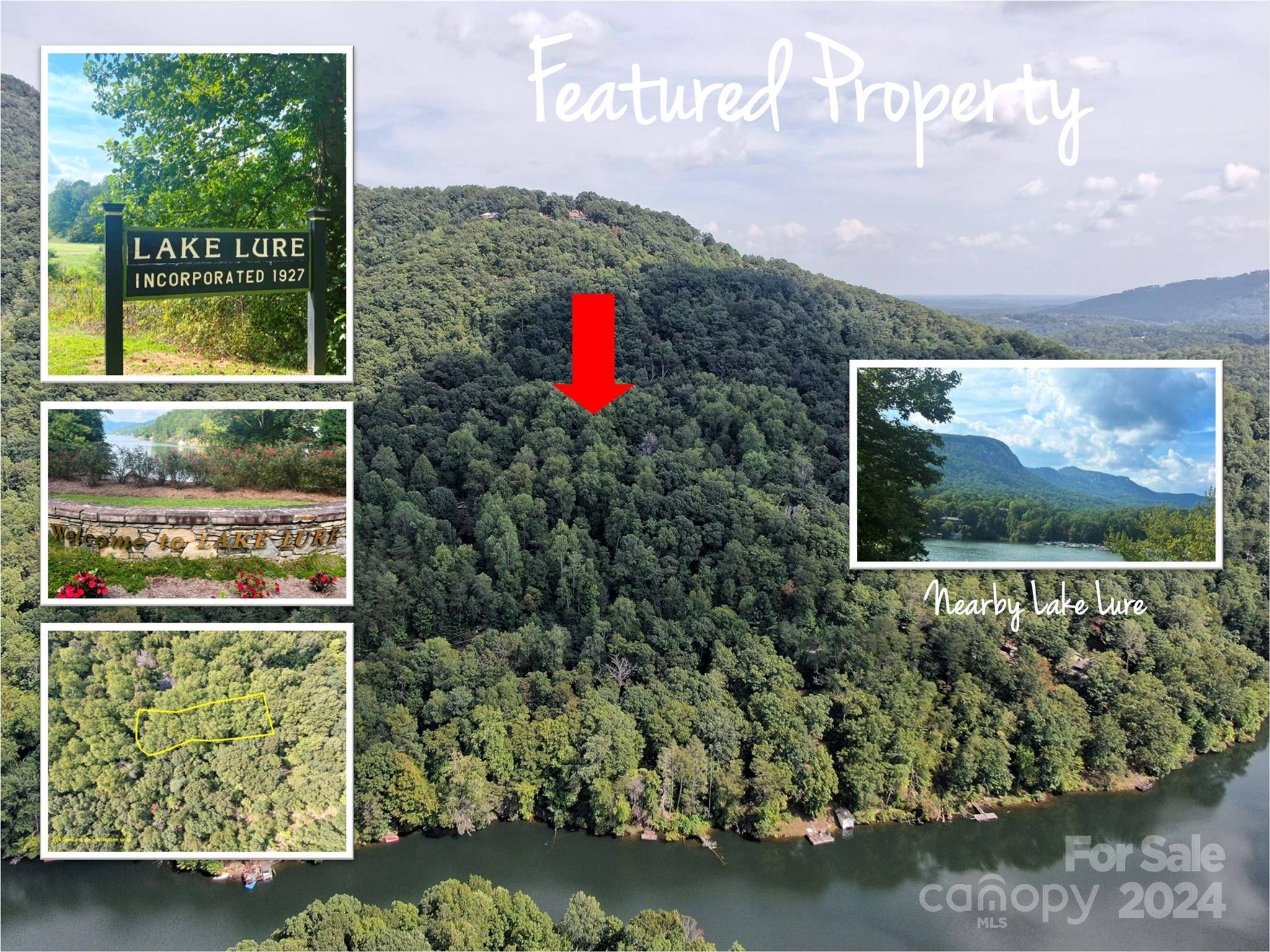 Lake Lure, NC 28746,TBD Hanging Rock RD