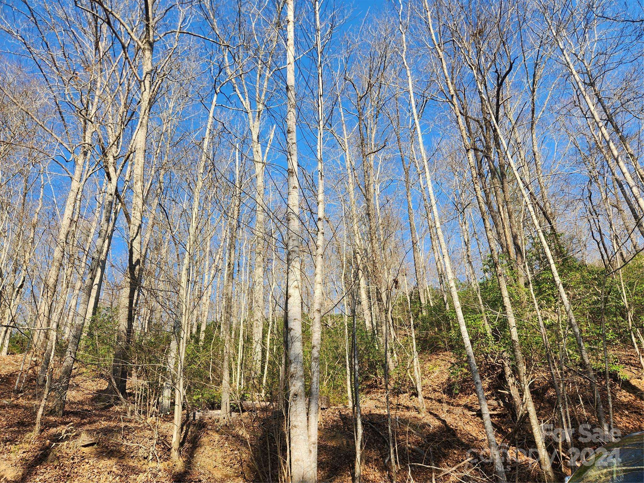 Lake Lure, NC 28746,Lot 158 Chilly Creek LN