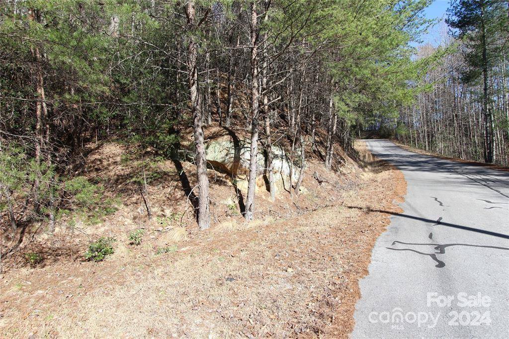 Marion, NC 28752,Lot 30 Laurel Valley DR