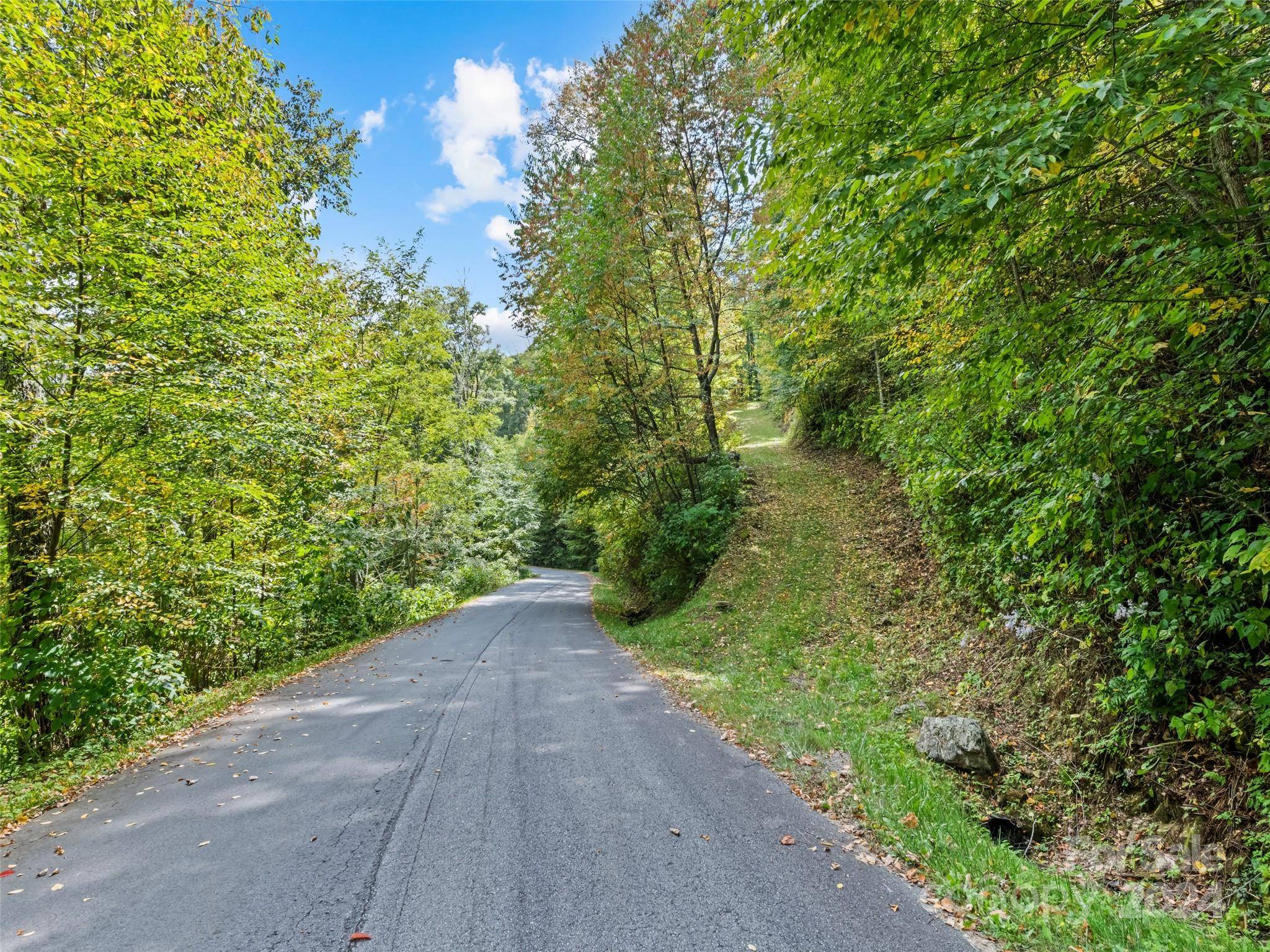 Maggie Valley, NC 28751,Lot E1 Unula LOOP #E1