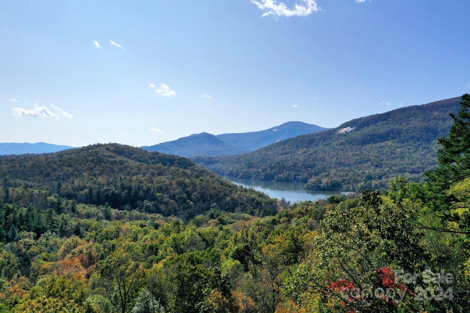 Lake Lure, NC 28746,741 South DR