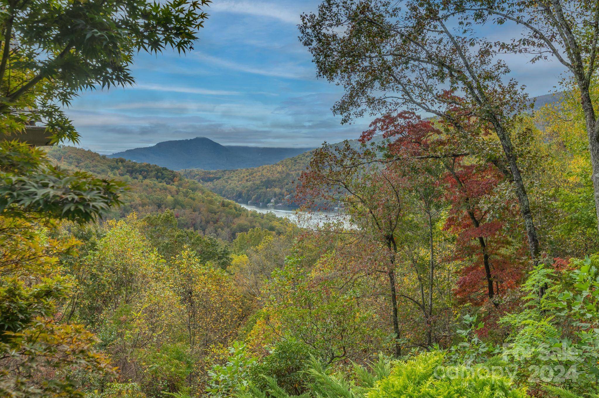 Lake Lure, NC 28746,741 South DR