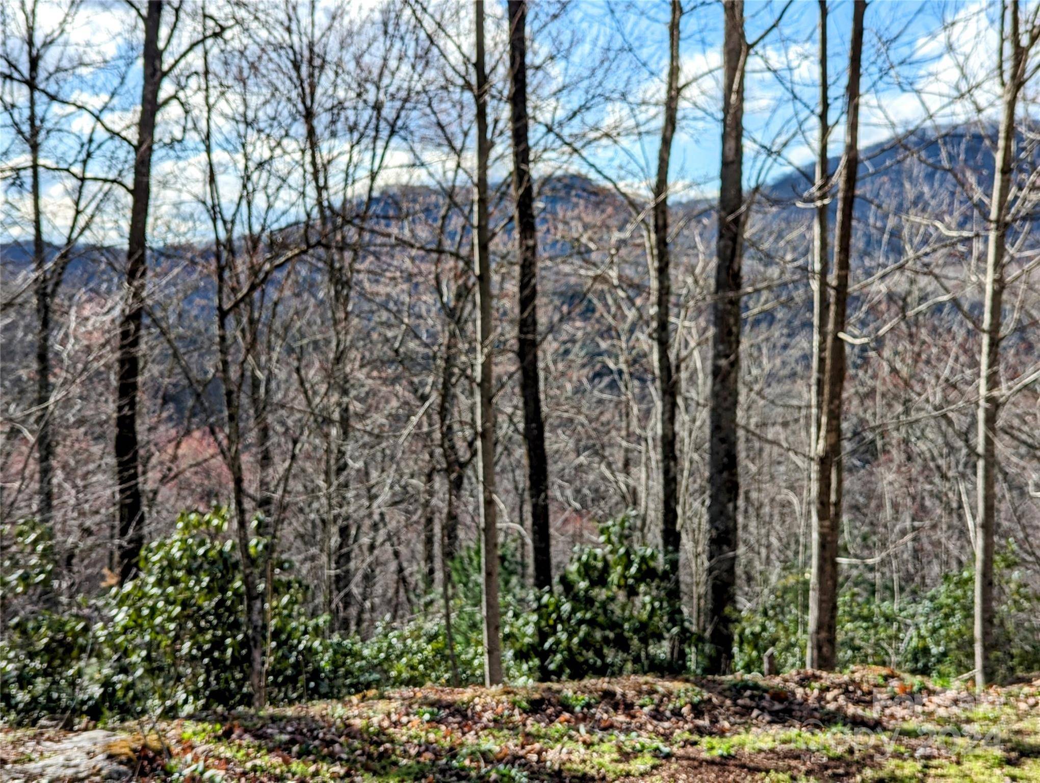 Tuckasegee, NC 28783,0 Dodgen Ridge RD