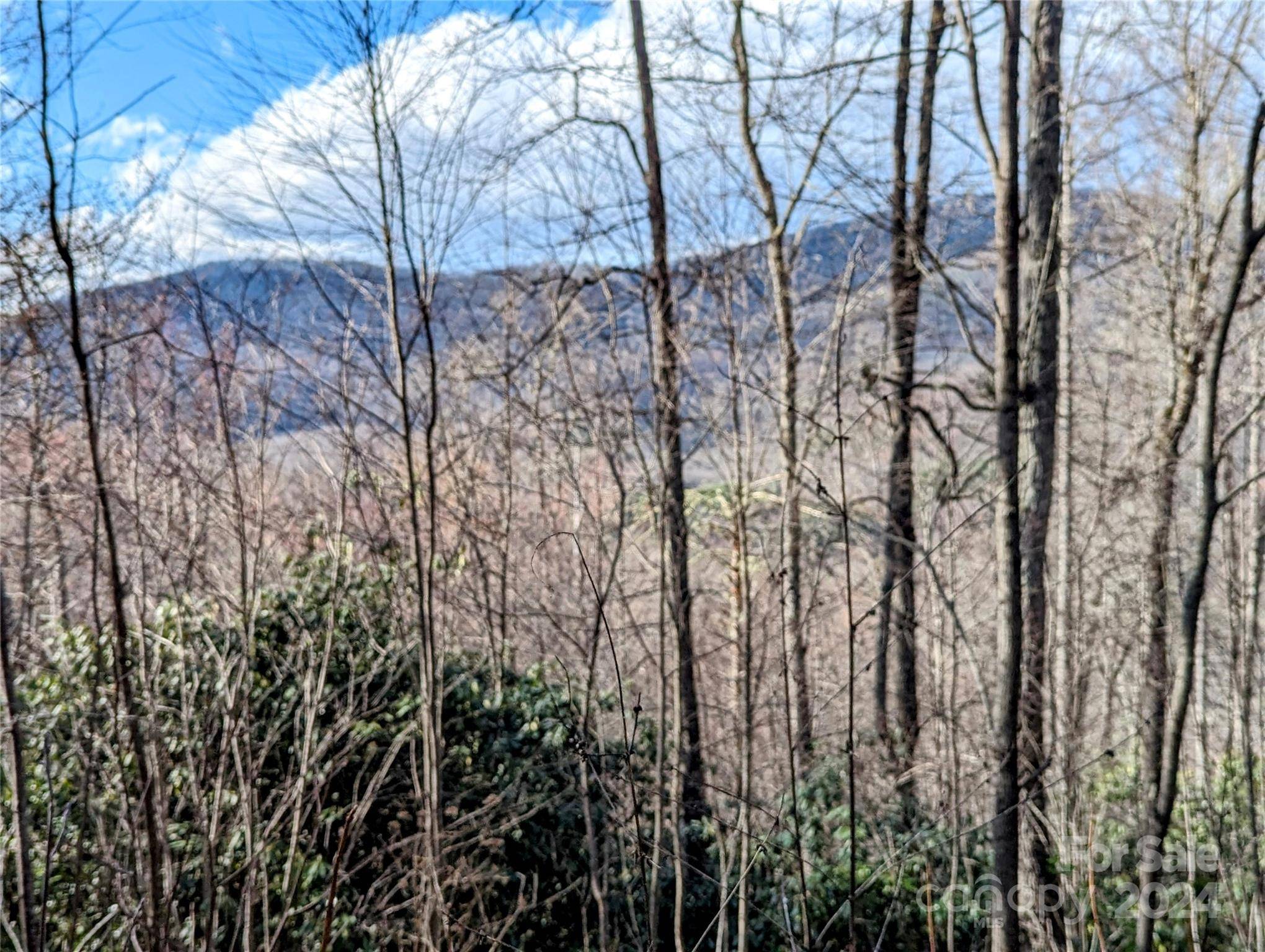 Tuckasegee, NC 28783,0 Dodgen Ridge RD