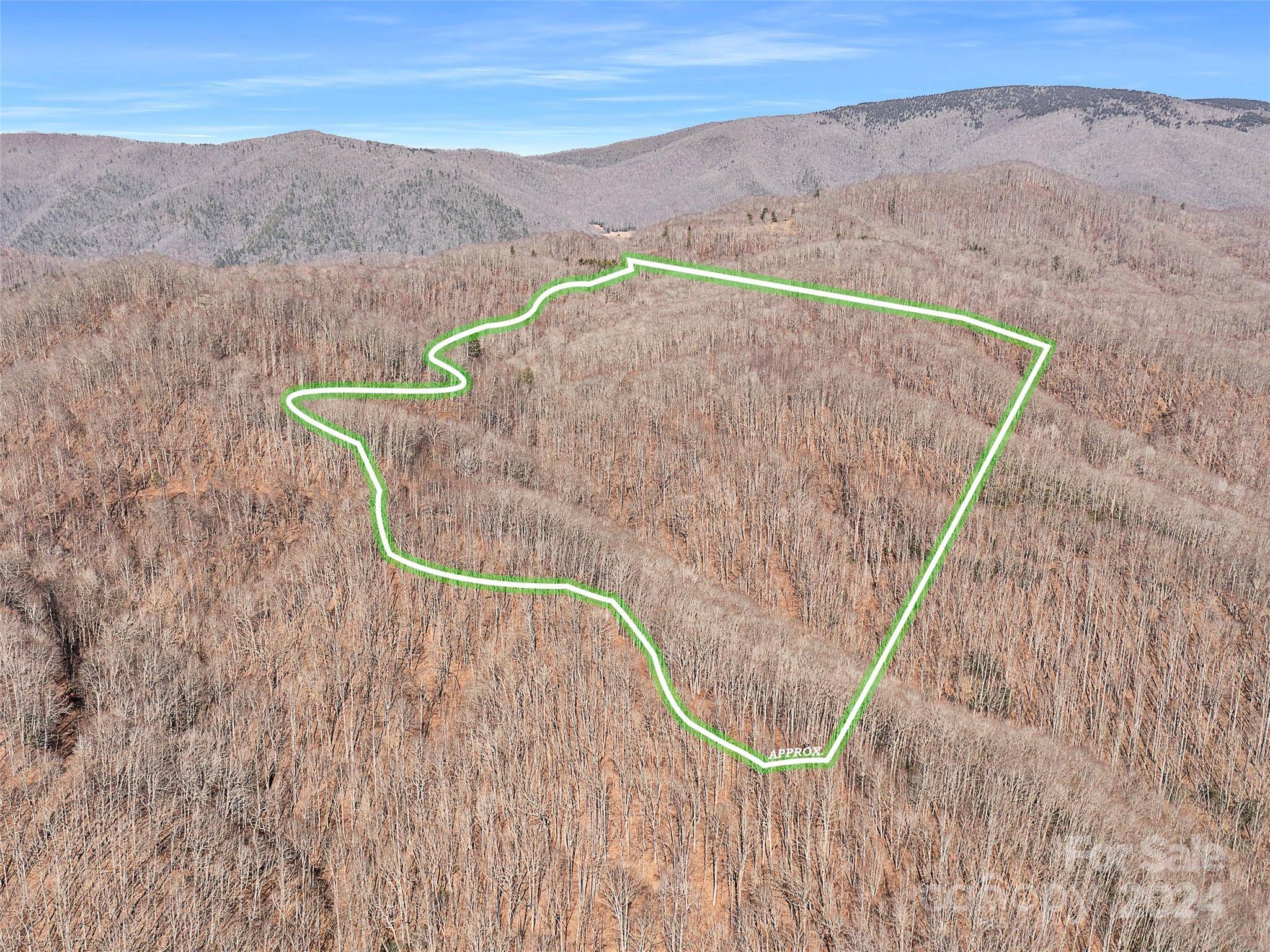 Green Mountain, NC 28740,99999 Poplar Creek RD