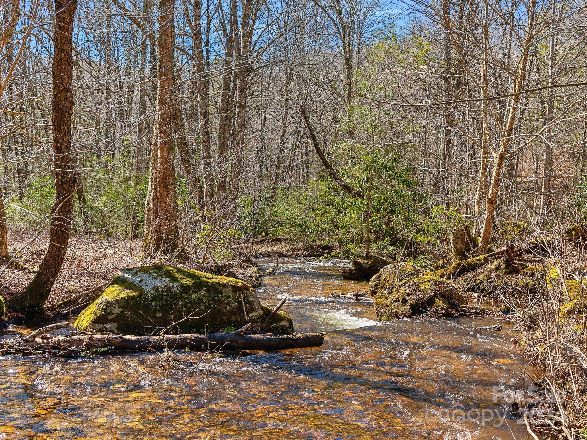 Green Mountain, NC 28740,99999 Poplar Creek RD