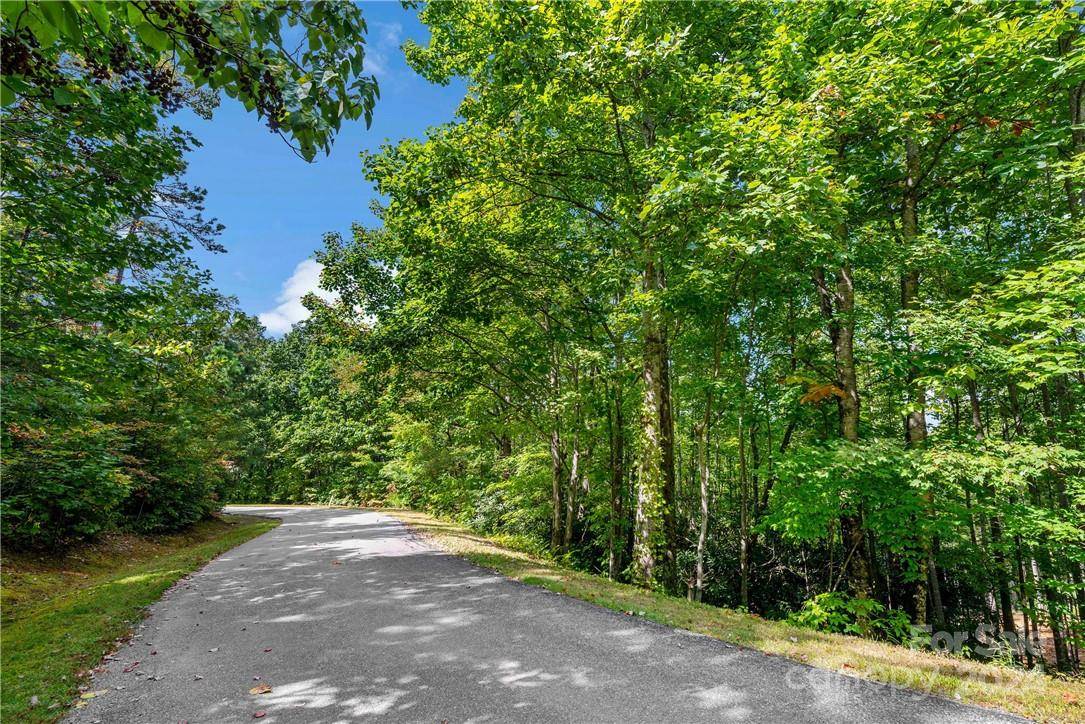 Black Mountain, NC 28711,TBD Arcadia Falls WAY #78