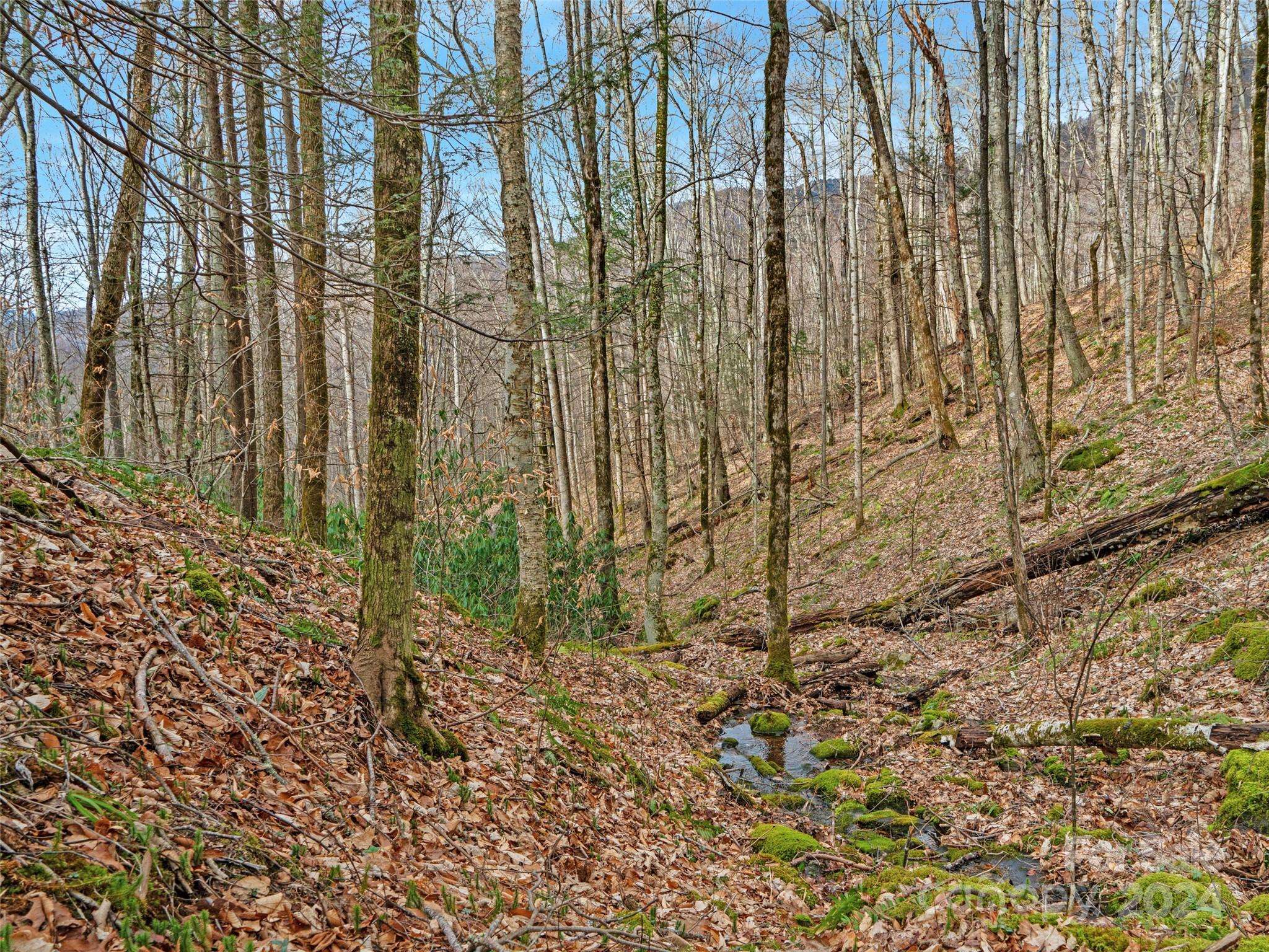 Burnsville, NC 28714,3 +/- acres Mountain Laurel LN