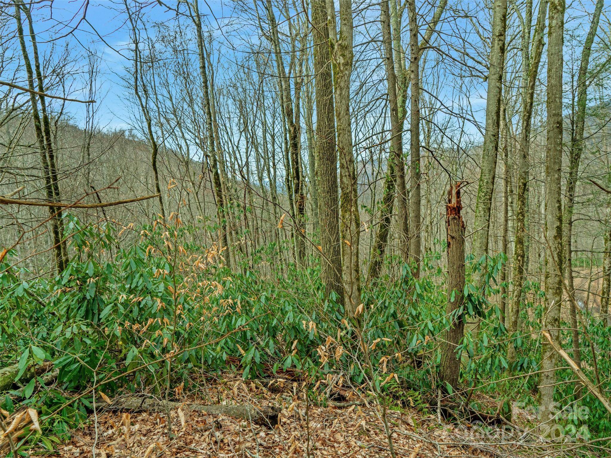 Burnsville, NC 28714,3 +/- acres Mountain Laurel LN