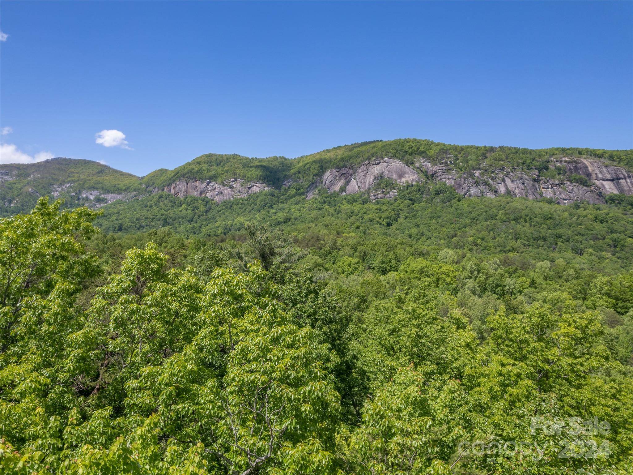 Lake Lure, NC 28746,10 Garden LN