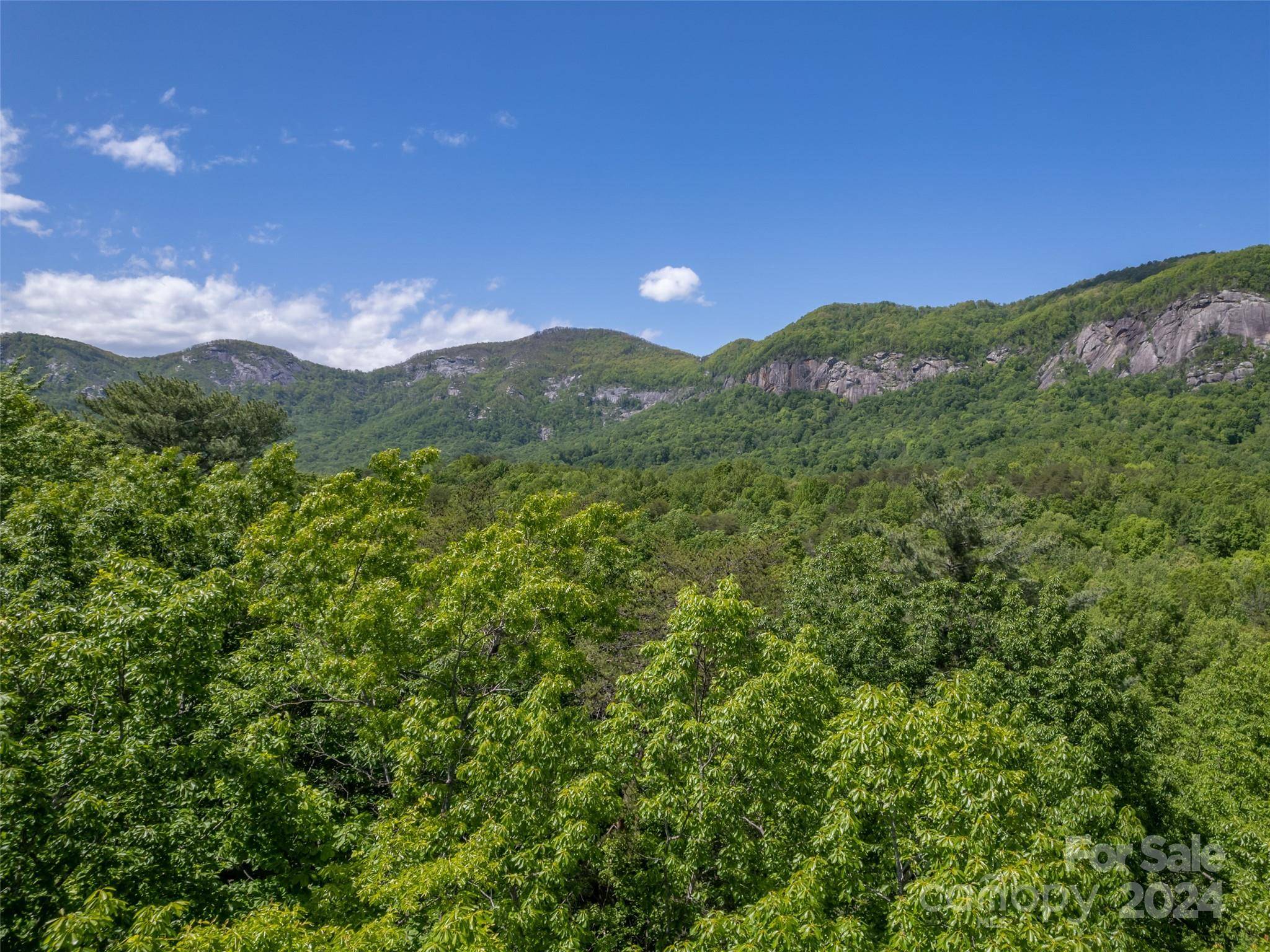 Lake Lure, NC 28746,10 Garden LN