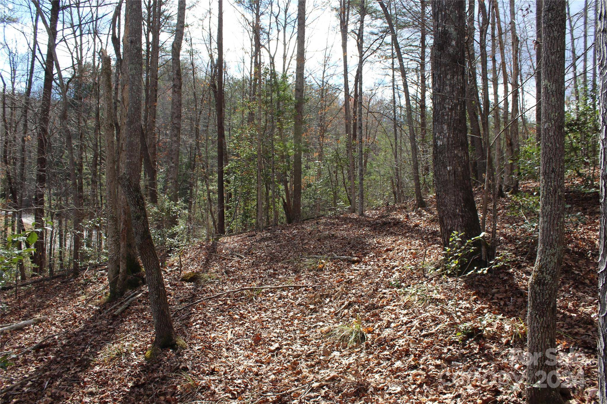 Lake Lure, NC 28746,0 Sweetbriar RD N #72