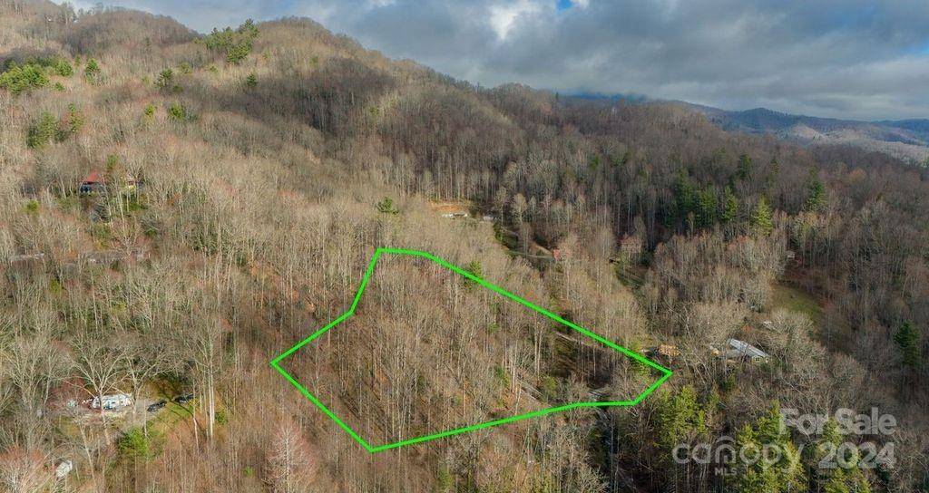 Waynesville, NC 28785,00 Owens RD