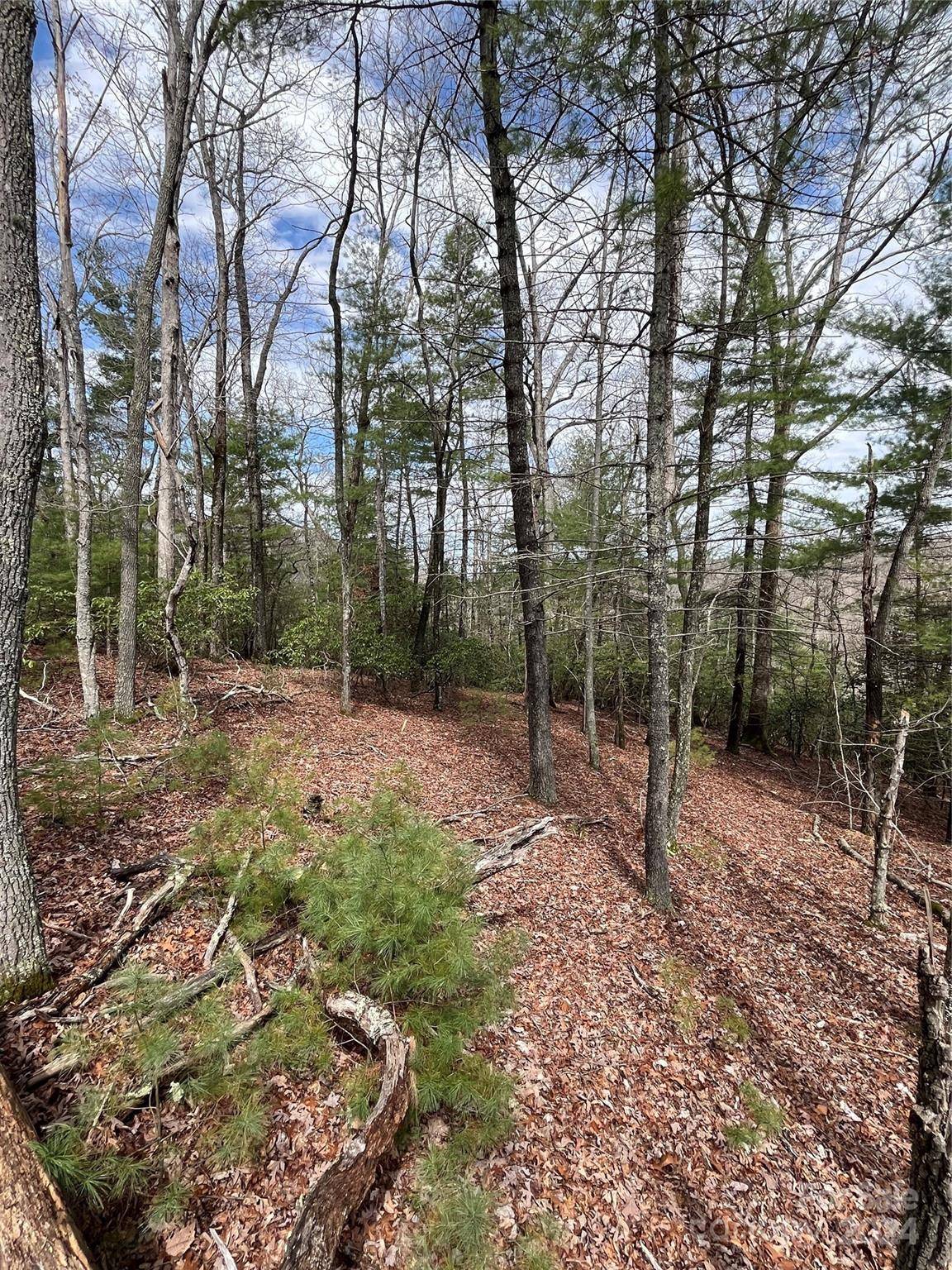 Arden, NC 28704,9 French Broad Overlook #Lot 3