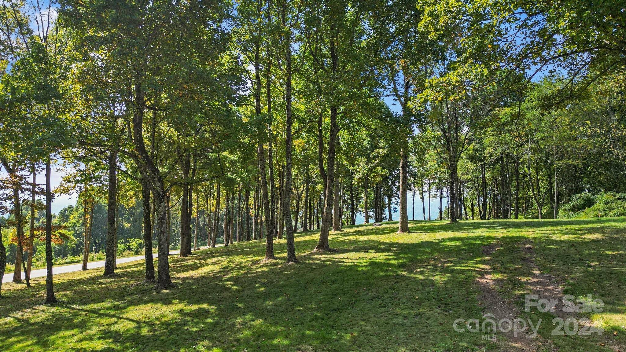 Fletcher, NC 28732,158 Laurel Ledge WAY #LOT 28