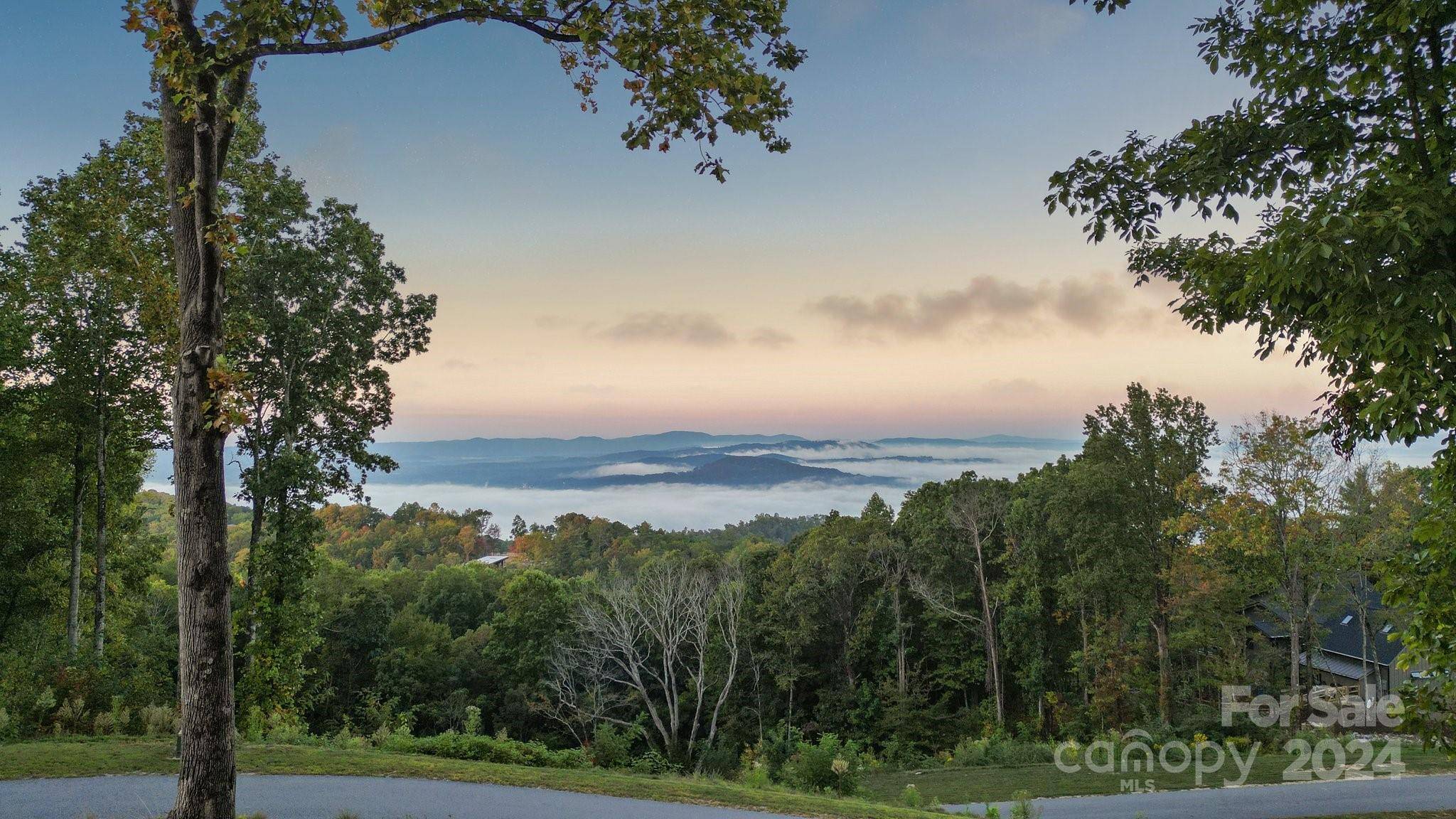 Fletcher, NC 28732,158 Laurel Ledge WAY #LOT 28