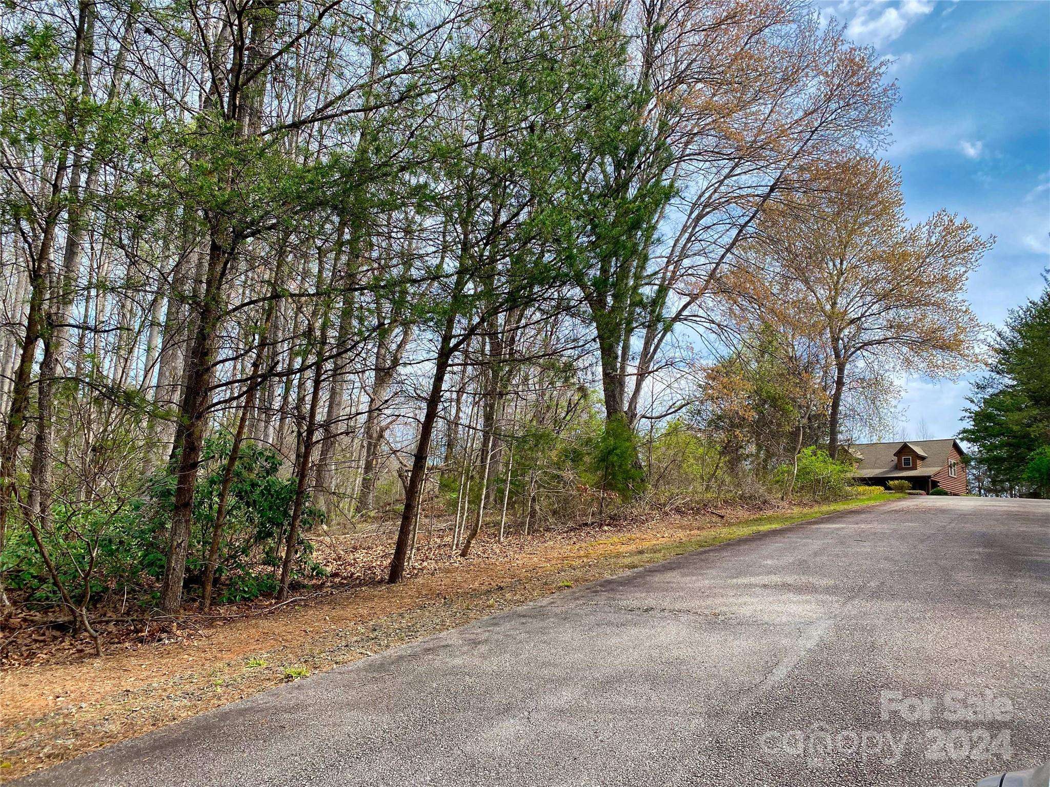 Lake Lure, NC 28746,0 Westridge DR