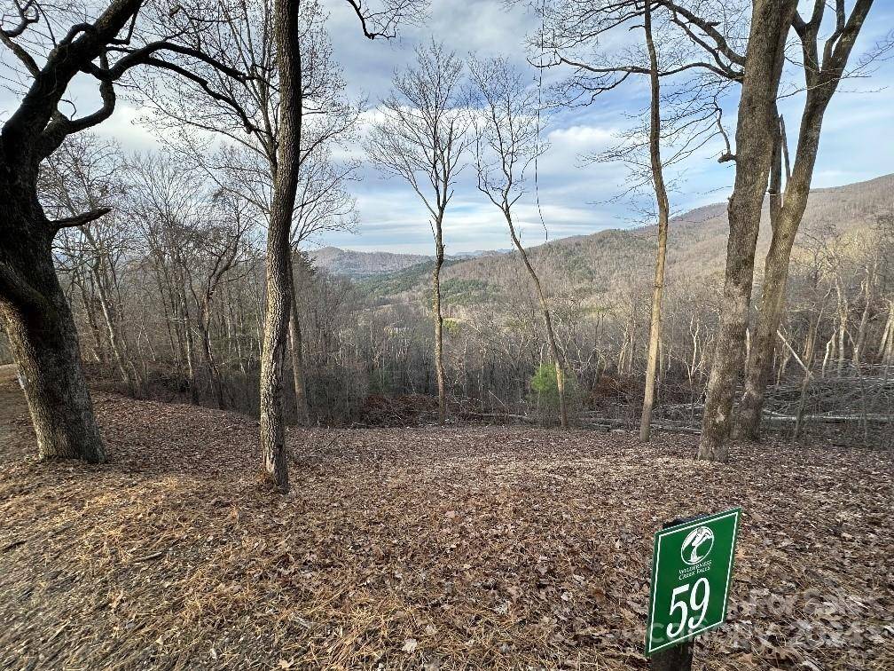 Murphy, NC 28906,Lot 59 Wilderness Creek WAY #59