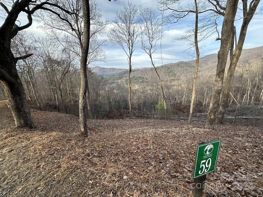 Murphy, NC 28906,Lot 59 Wilderness Creek WAY #59