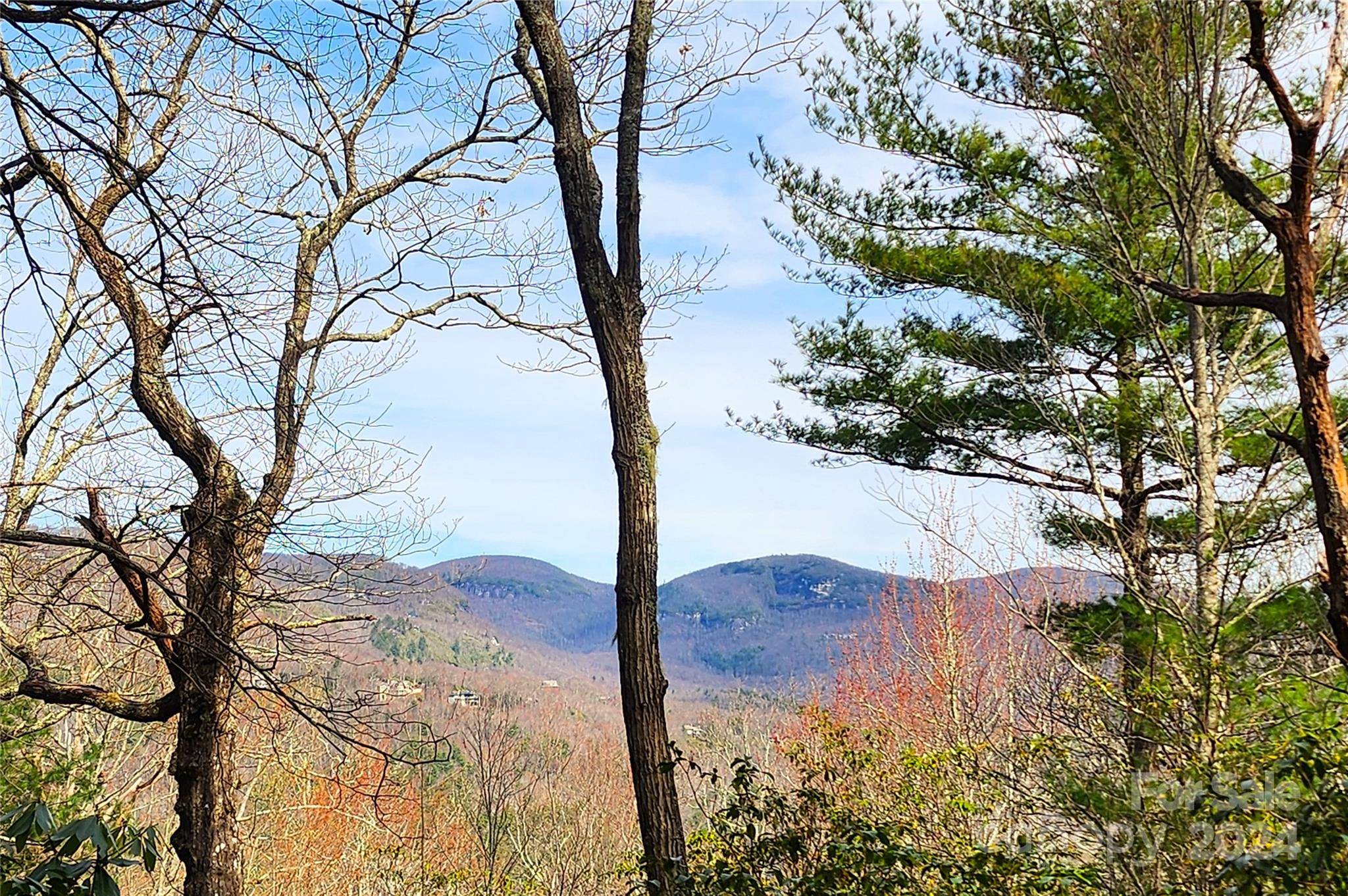 Lake Toxaway, NC 28747,Lot 24 Lakeside TRL #24