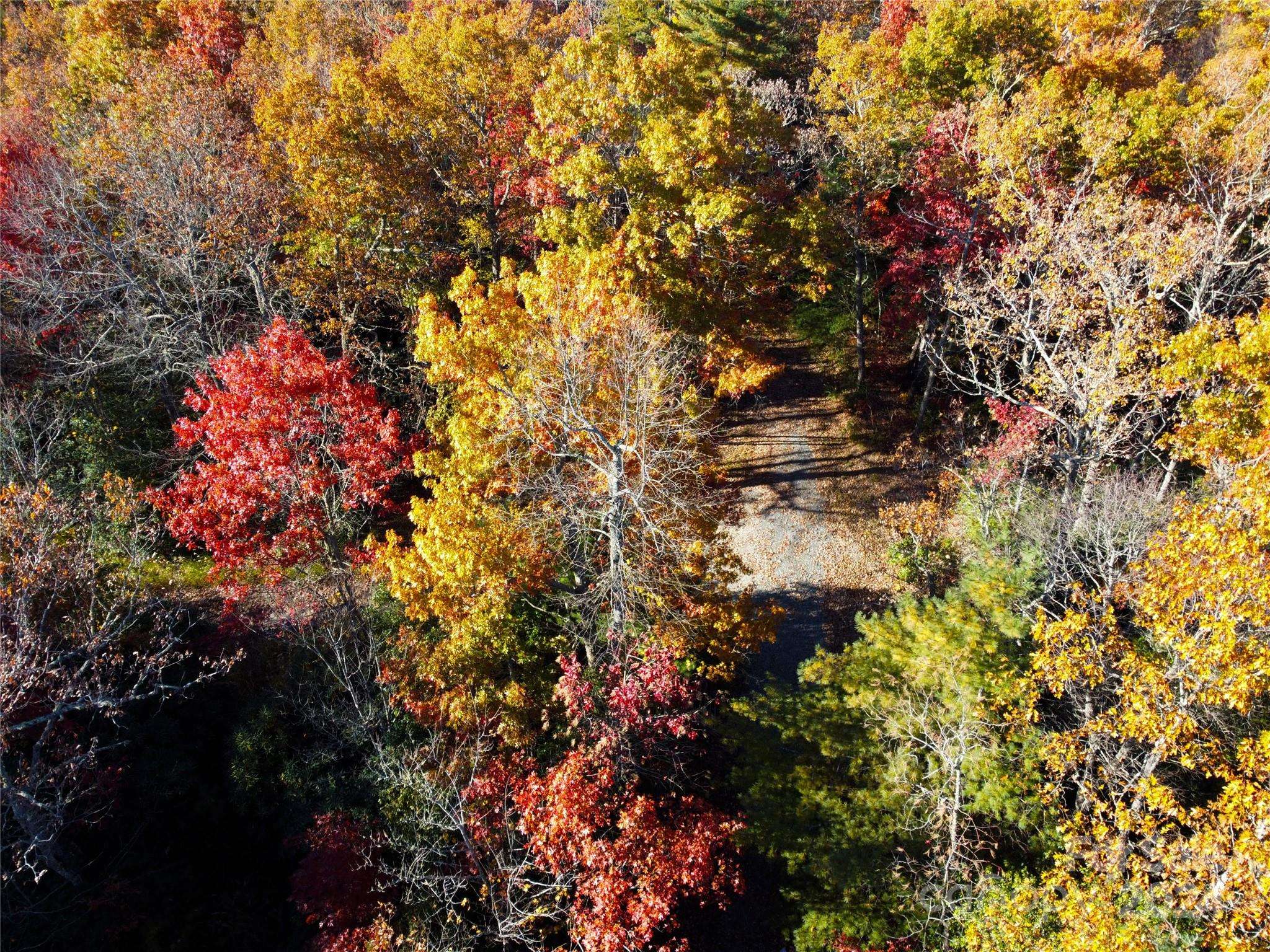 Penrose, NC 28766,Lot D2 000 Dogwood LN