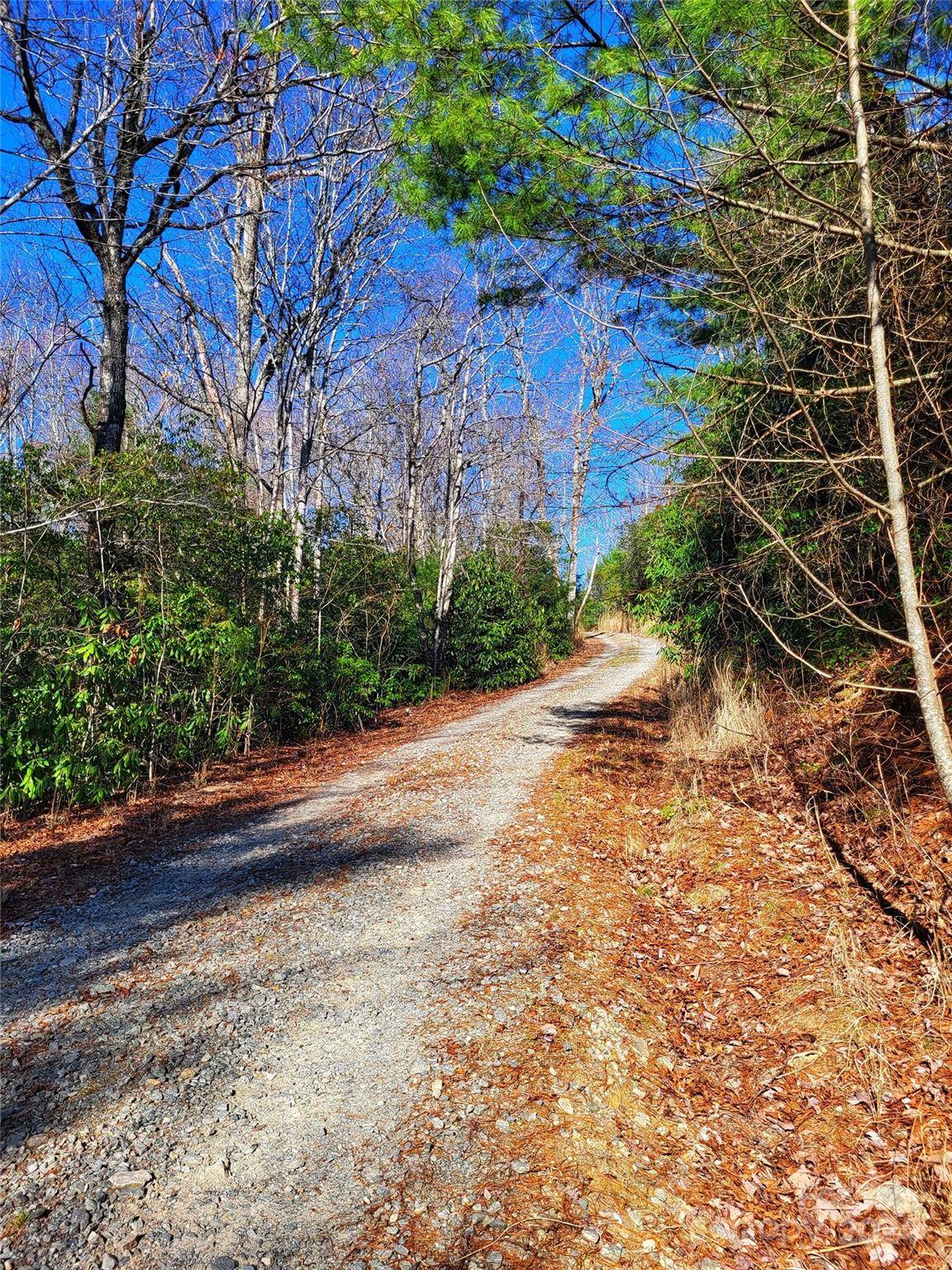 Penrose, NC 28766,Lot D2 000 Dogwood LN