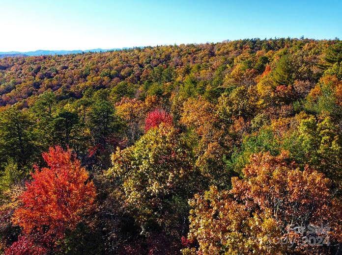 Penrose, NC 28766,Lot D1 000 Dogwood LN
