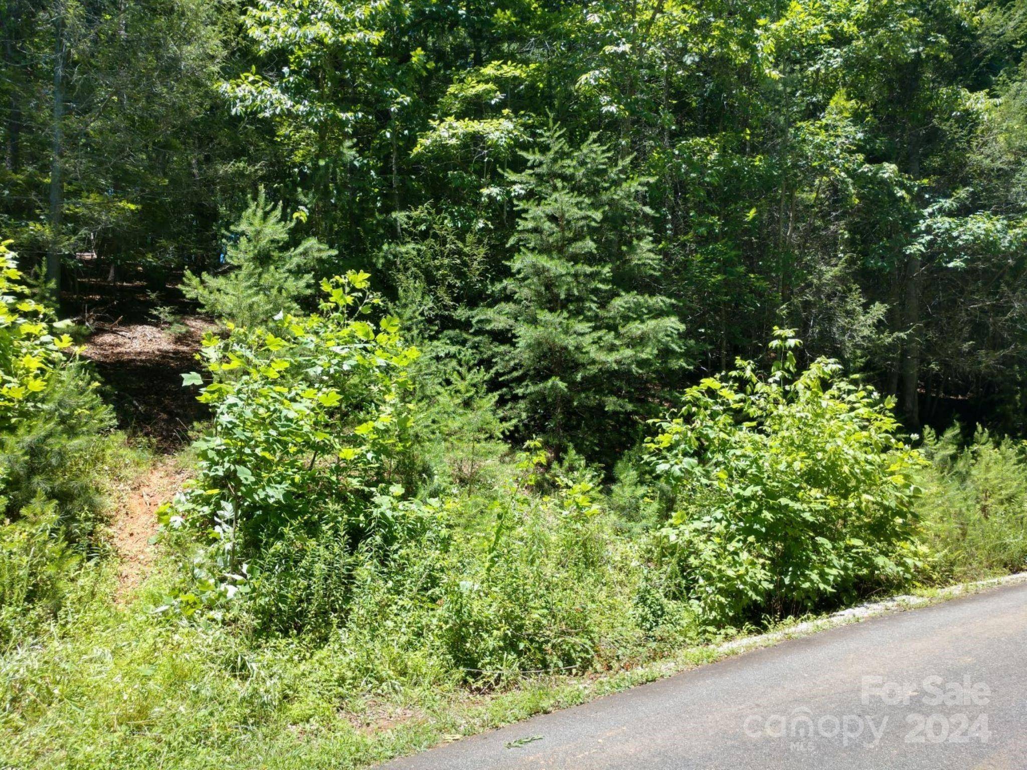 Marion, NC 28752,00 James View RD #1
