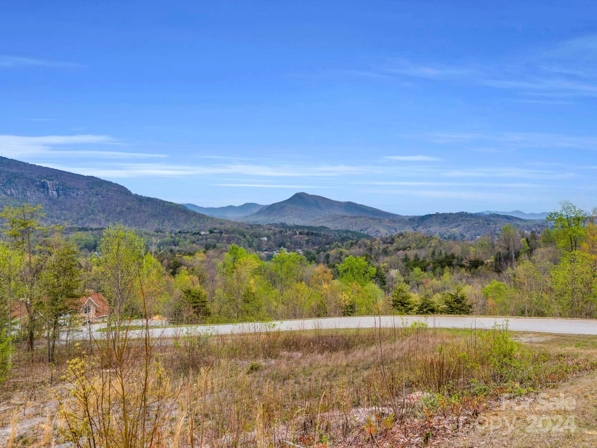 Lake Lure, NC 28746,999 Clear Creek TRL #36