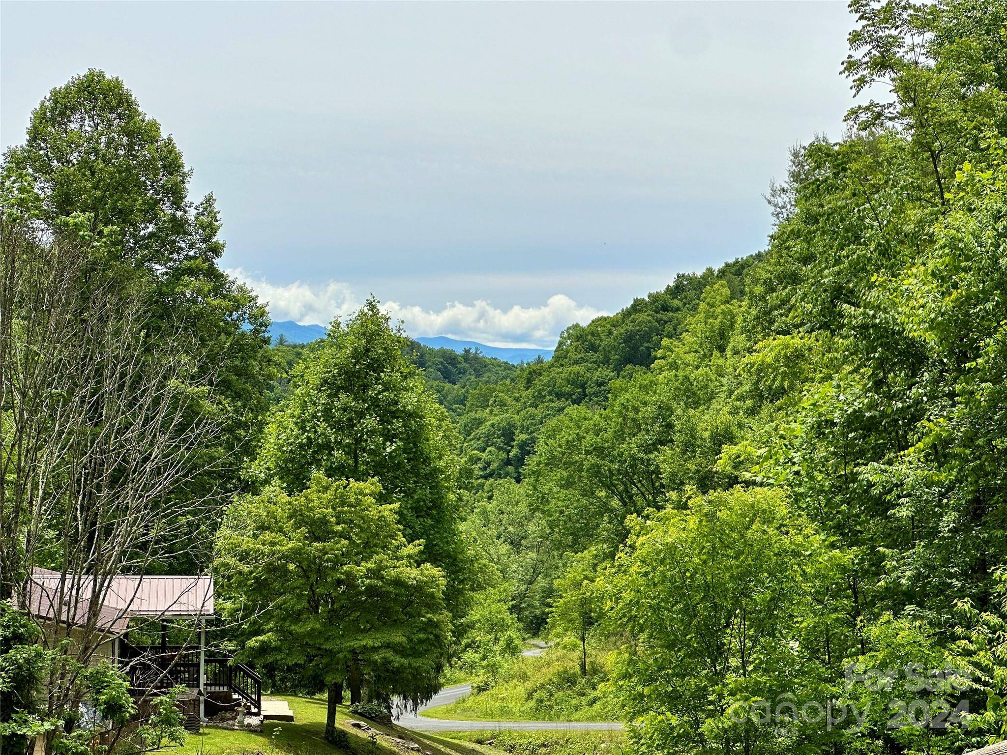 Green Mountain, NC 28740,477 Renfro RD