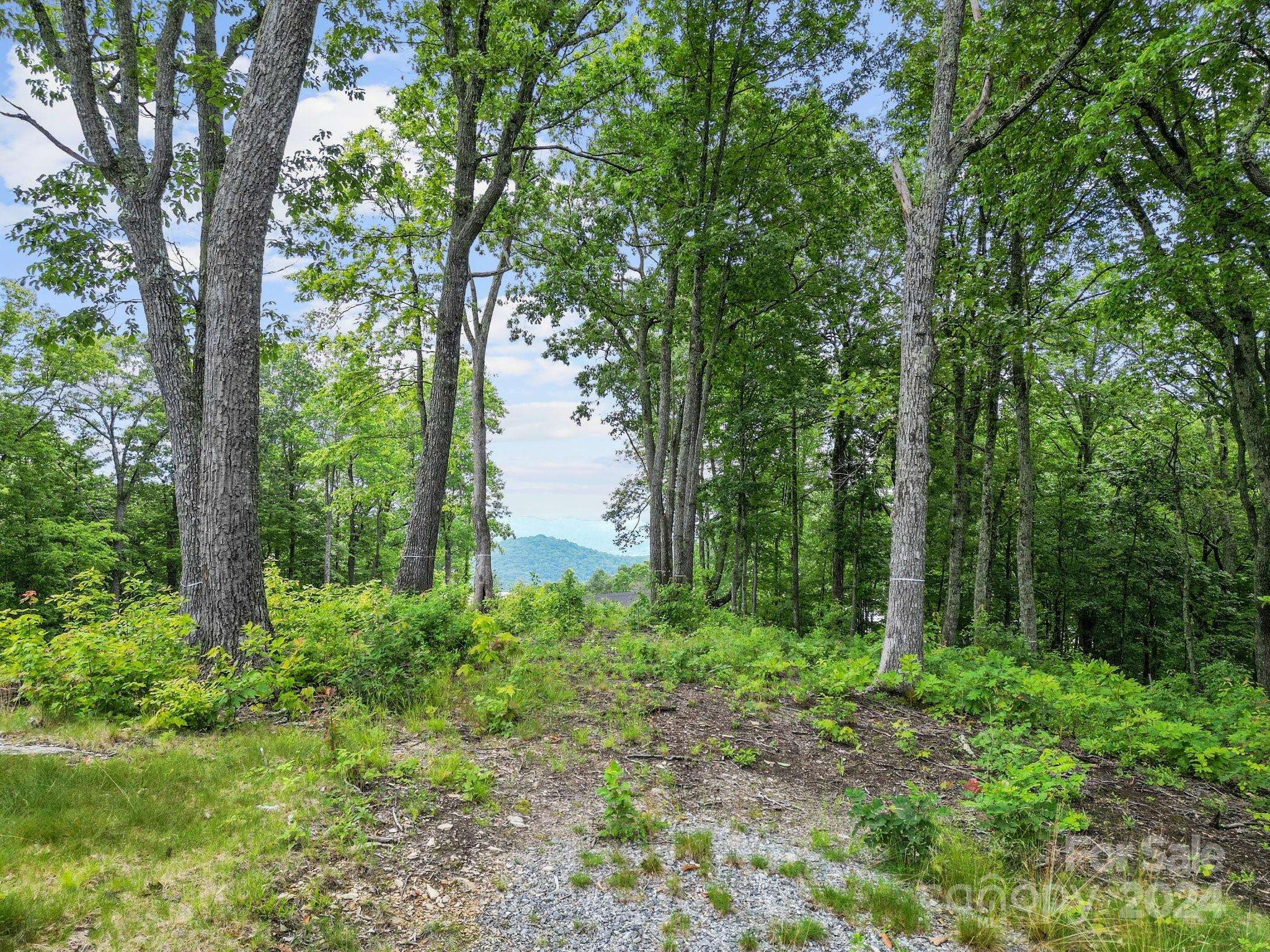 Fletcher, NC 28732,Lot 50 Mountain Grove LN #50