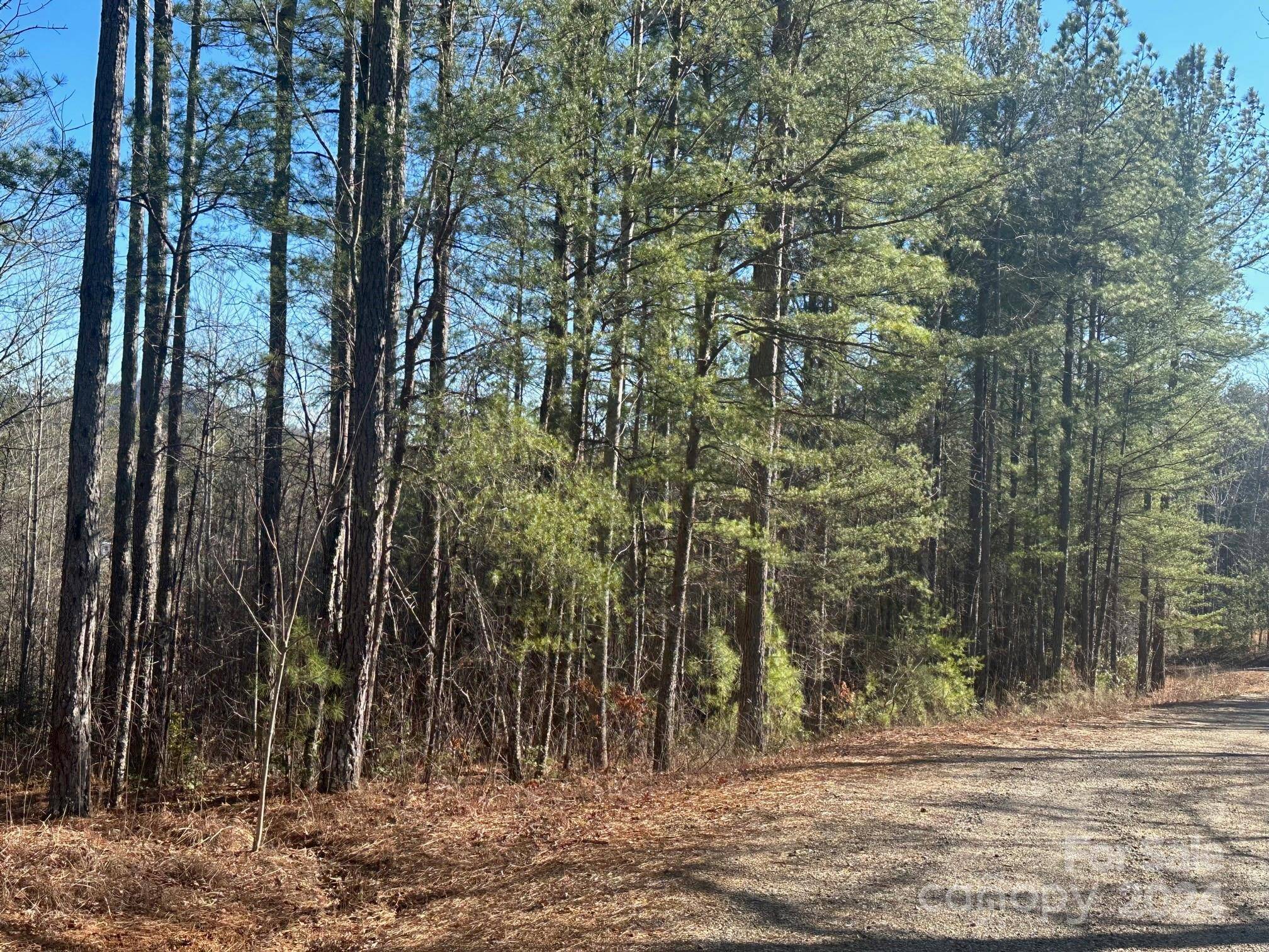 Rutherfordton, NC 28139,0000 Pine Cone TRL