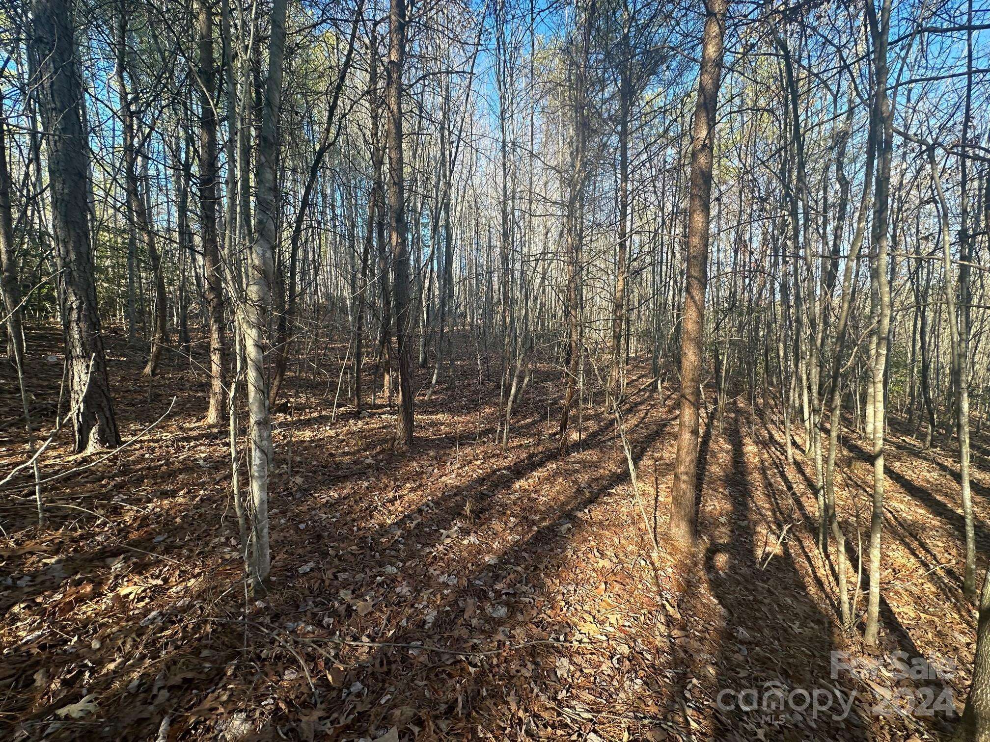 Rutherfordton, NC 28139,0000 Pine Cone TRL