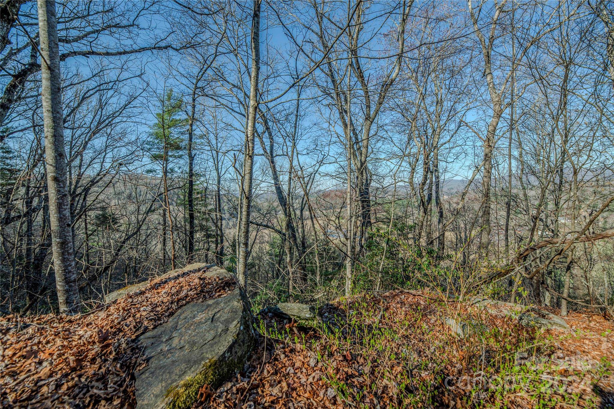 Pisgah Forest, NC 28768,TBD Three Mile Knob RD #L1/L2/L3