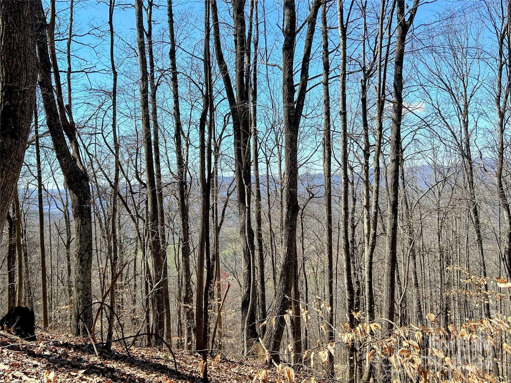 Mars Hill, NC 28754,Lot 15 Red Wolf RUN #15