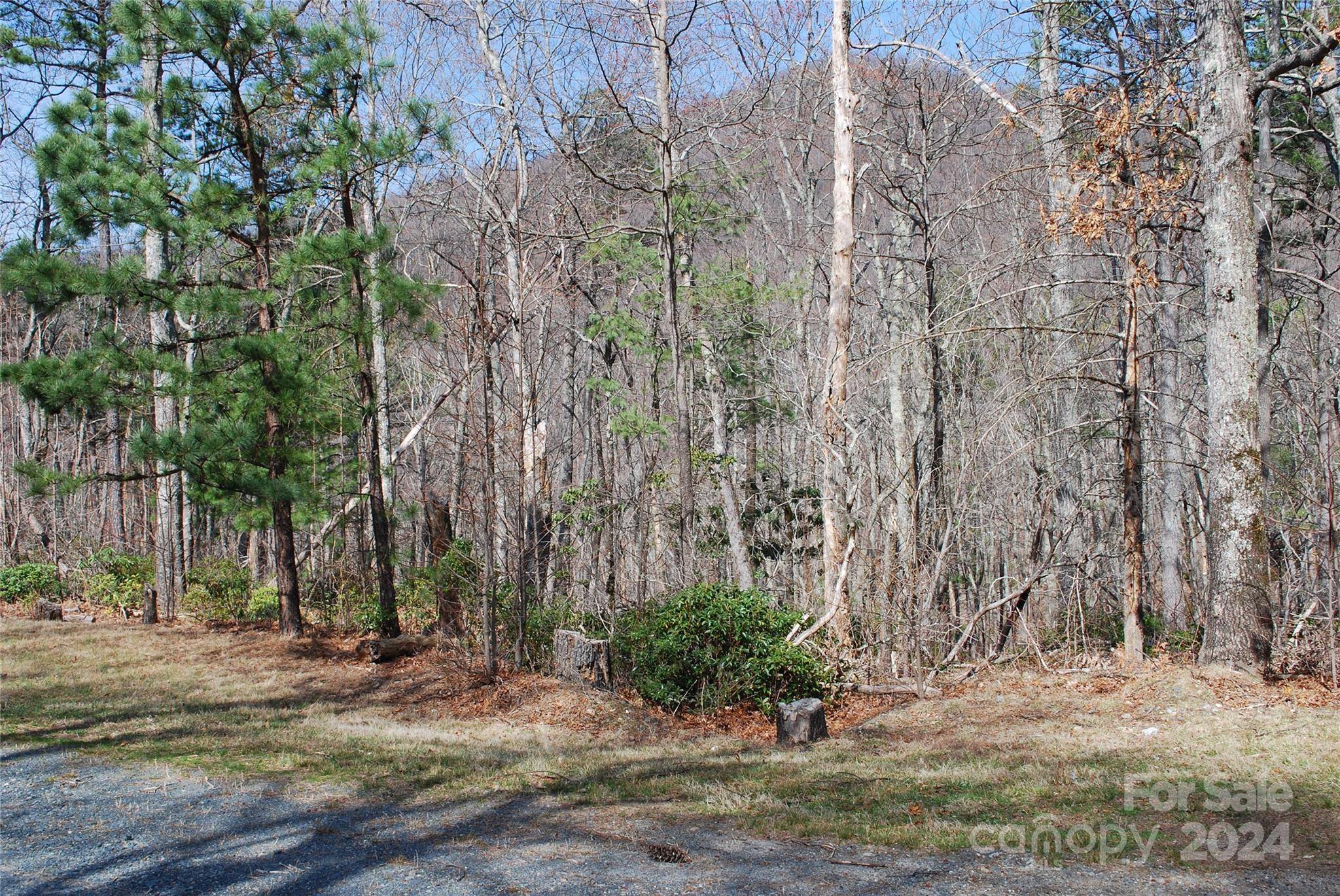 Lenoir, NC 28645,Lot 37 TBD Dugger Firetower RD