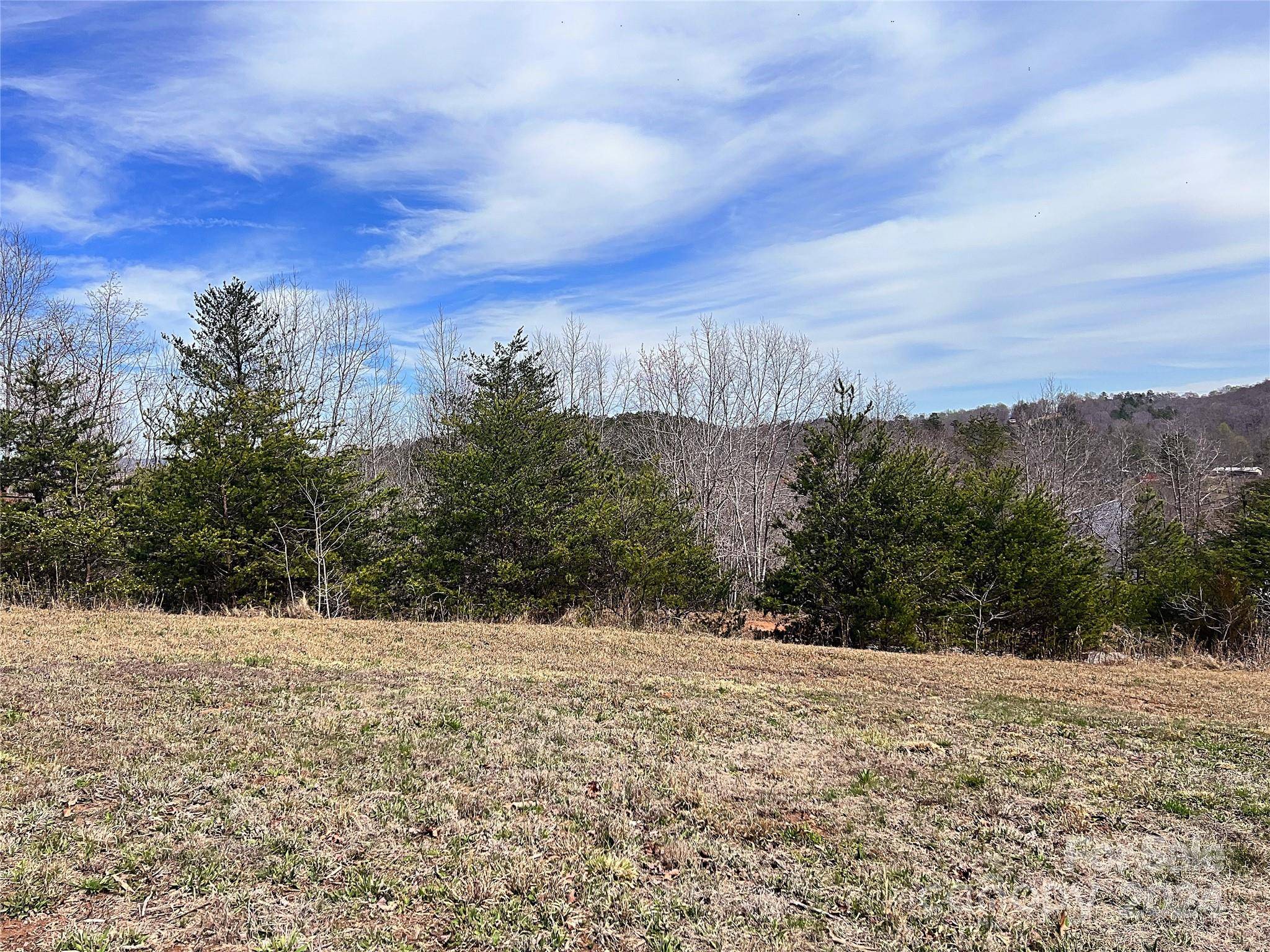 Rutherfordton, NC 28139,V/L Hickory LOOP #5